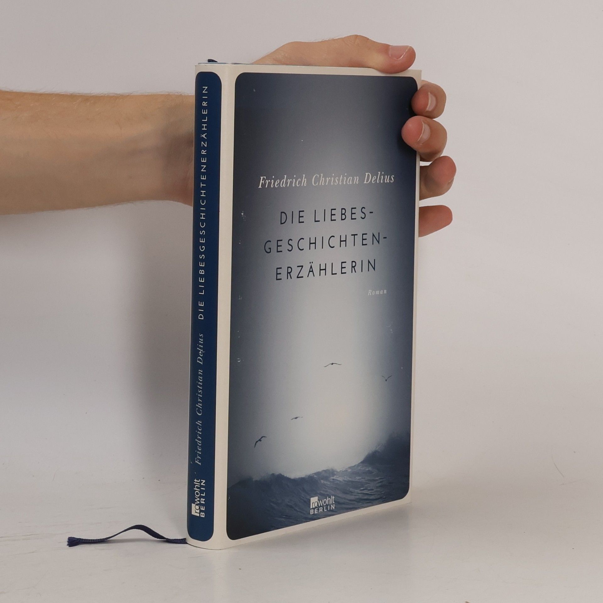 Friedrich Christian Delius Die Liebesgeschichtenerzählerin
