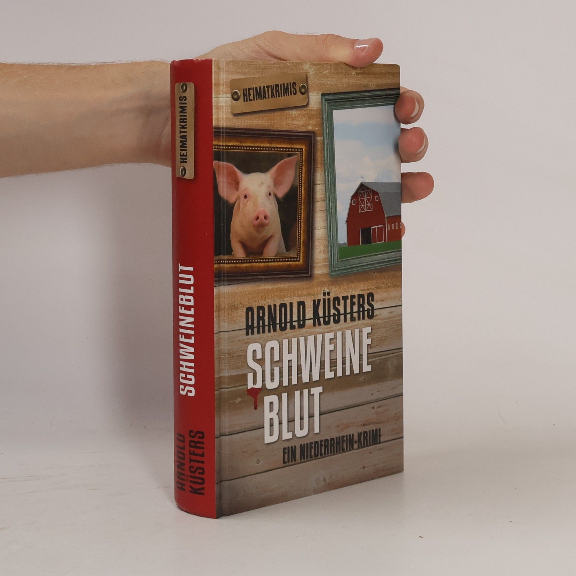 Arnold Küsters Schweineblut. Ein Niederrhein-Krimi