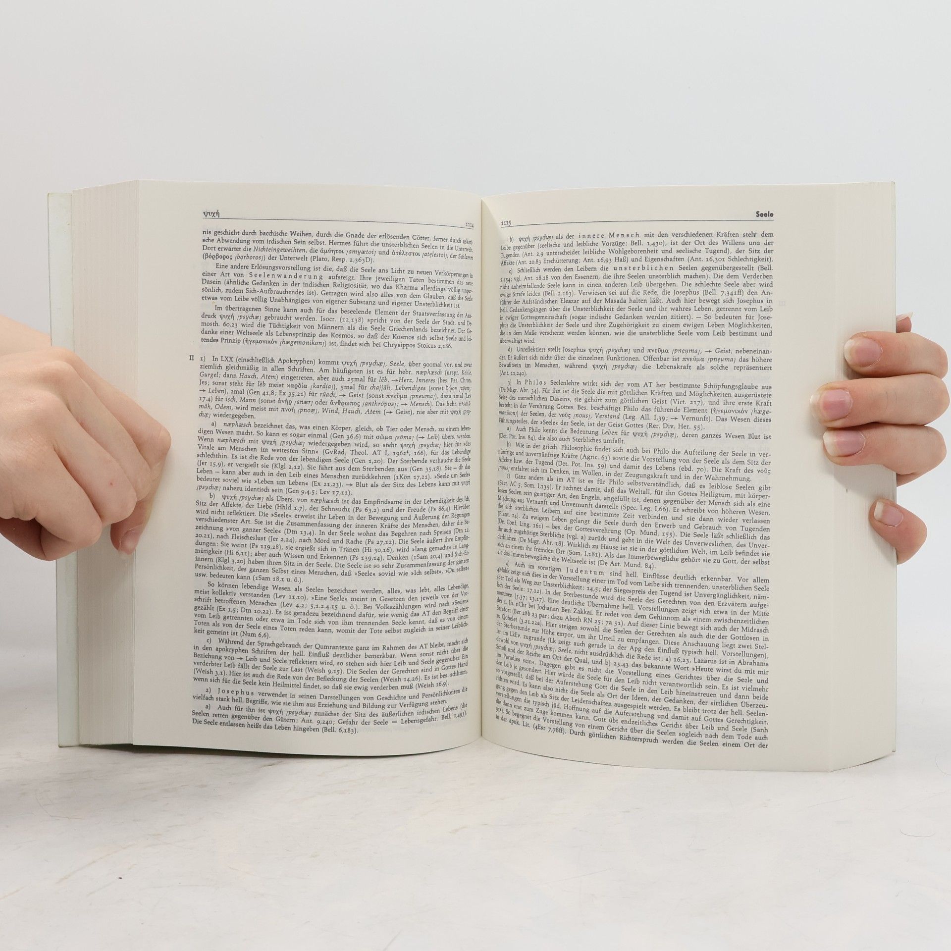 Theologisches Begriffslexikon zum Neuen Testament