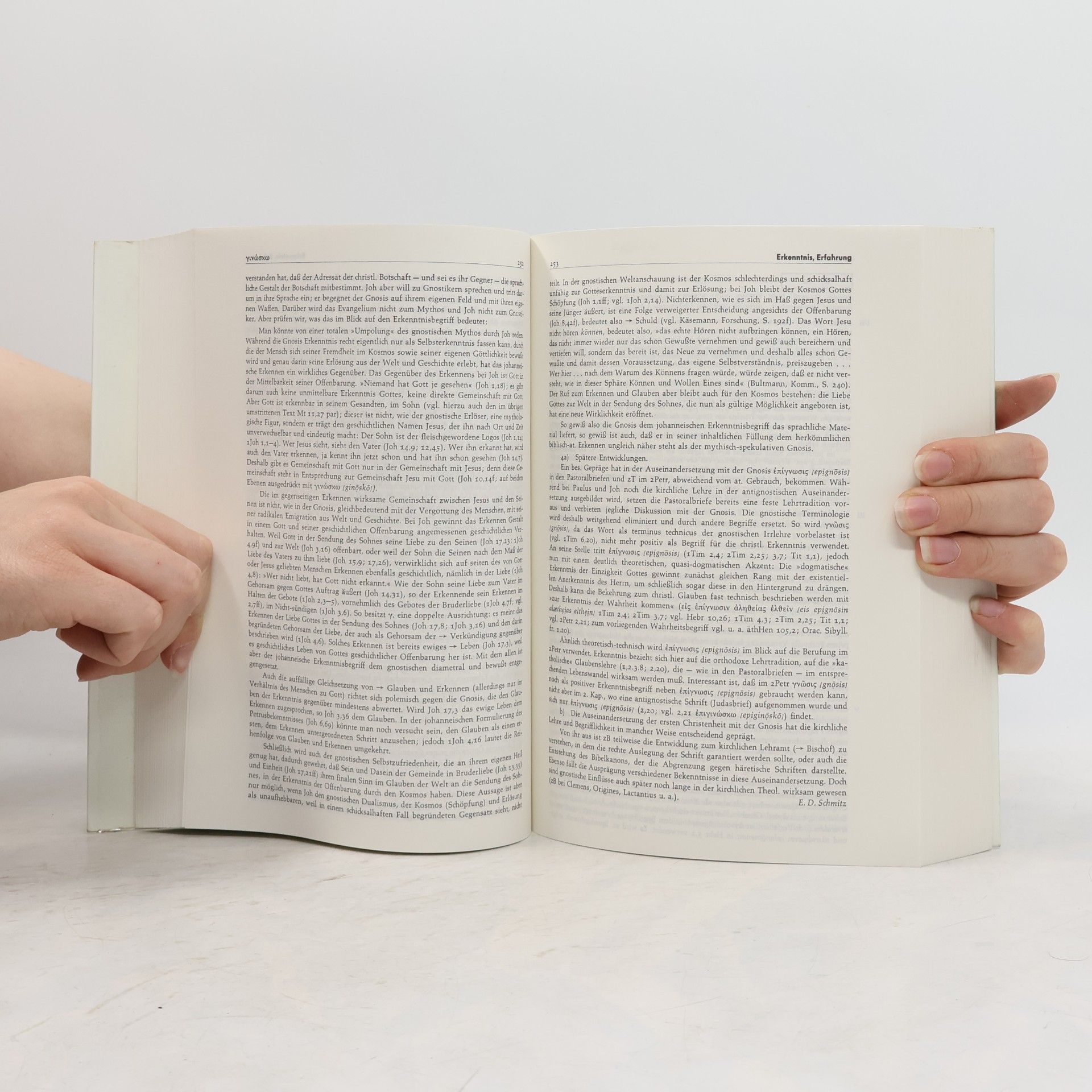 AA.VV. Theologisches Begriffslexikon zum Neuen Testament II