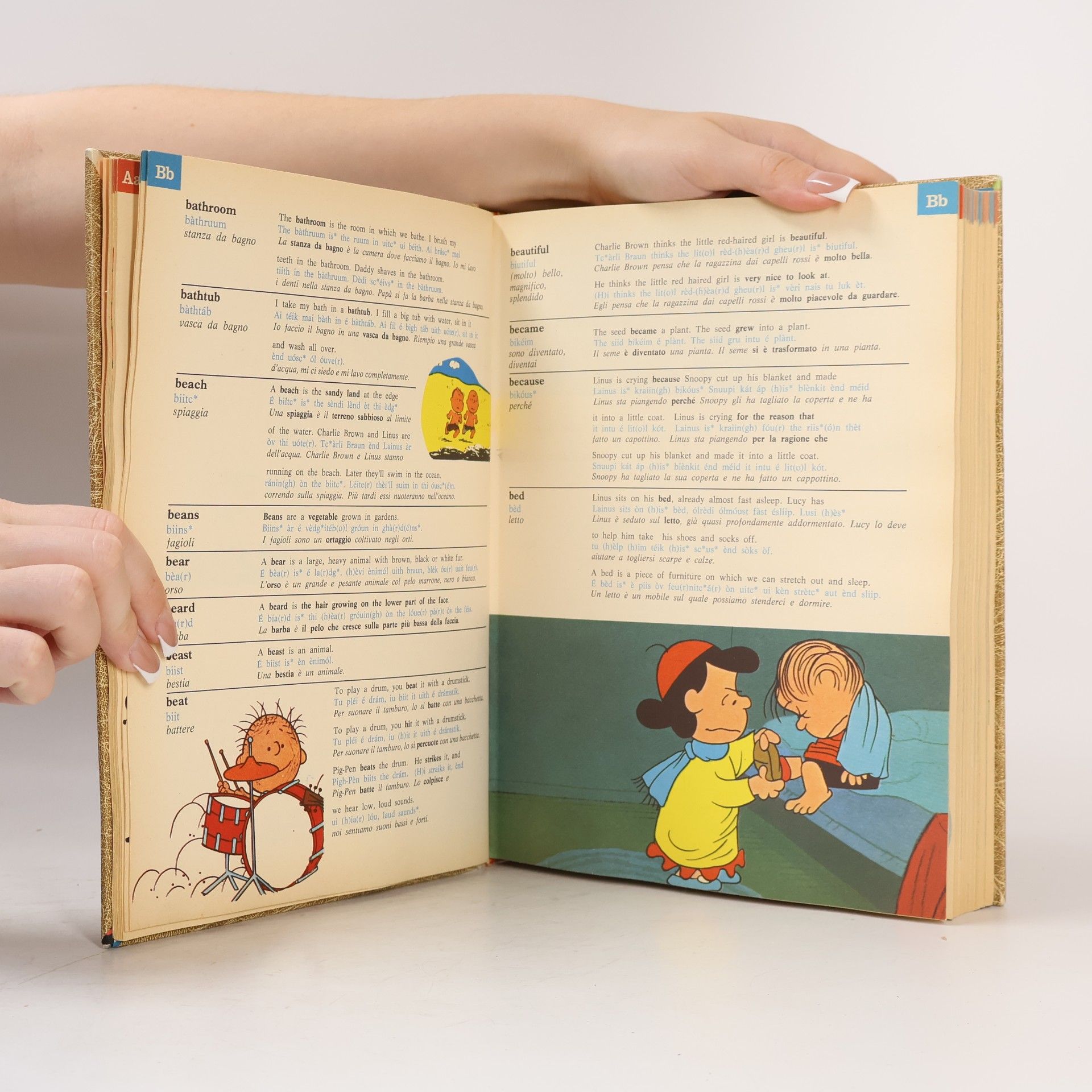 Charlese M. Schulz Il dizionario di Charlie Brown