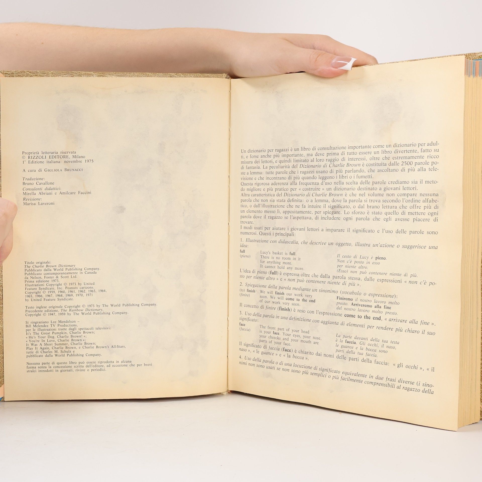 Charlese M. Schulz Il dizionario di Charlie Brown
