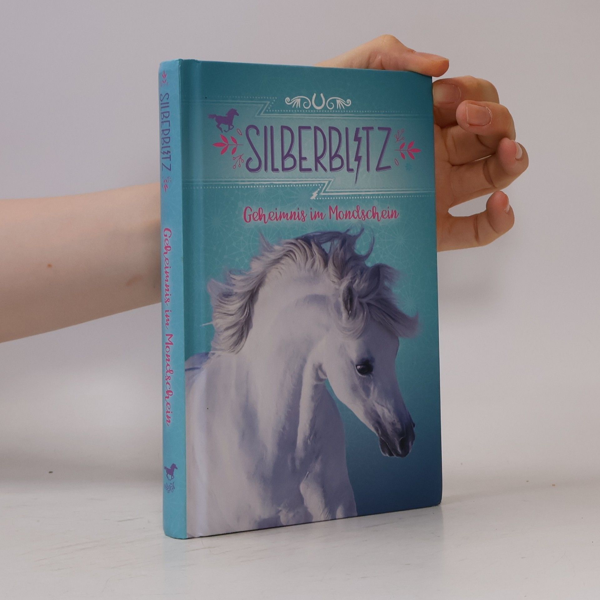 Corinna Wieja Silberblitz - Geheimnis im Mondschein