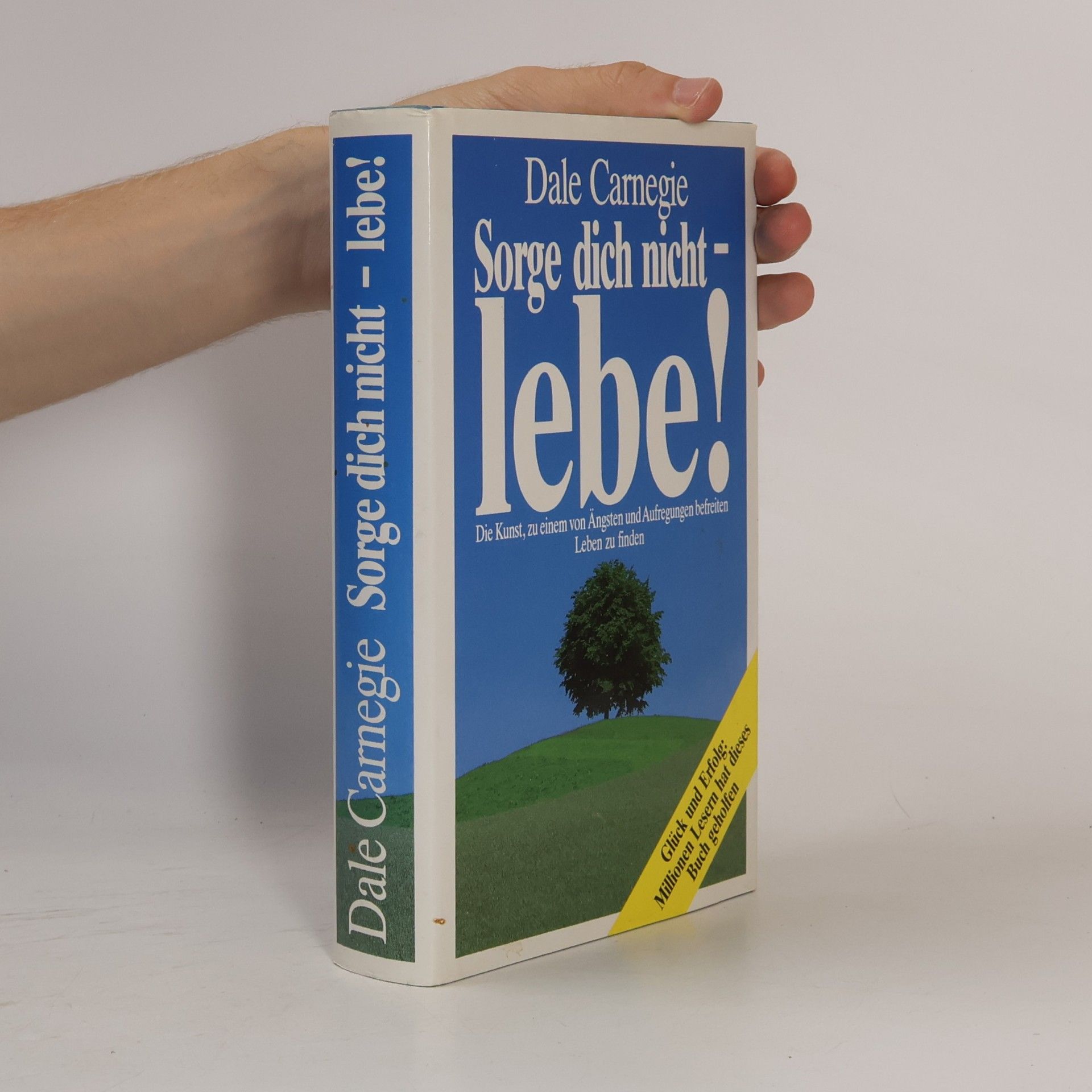 Dale Carnegie Sorge dich nicht - lebe!
