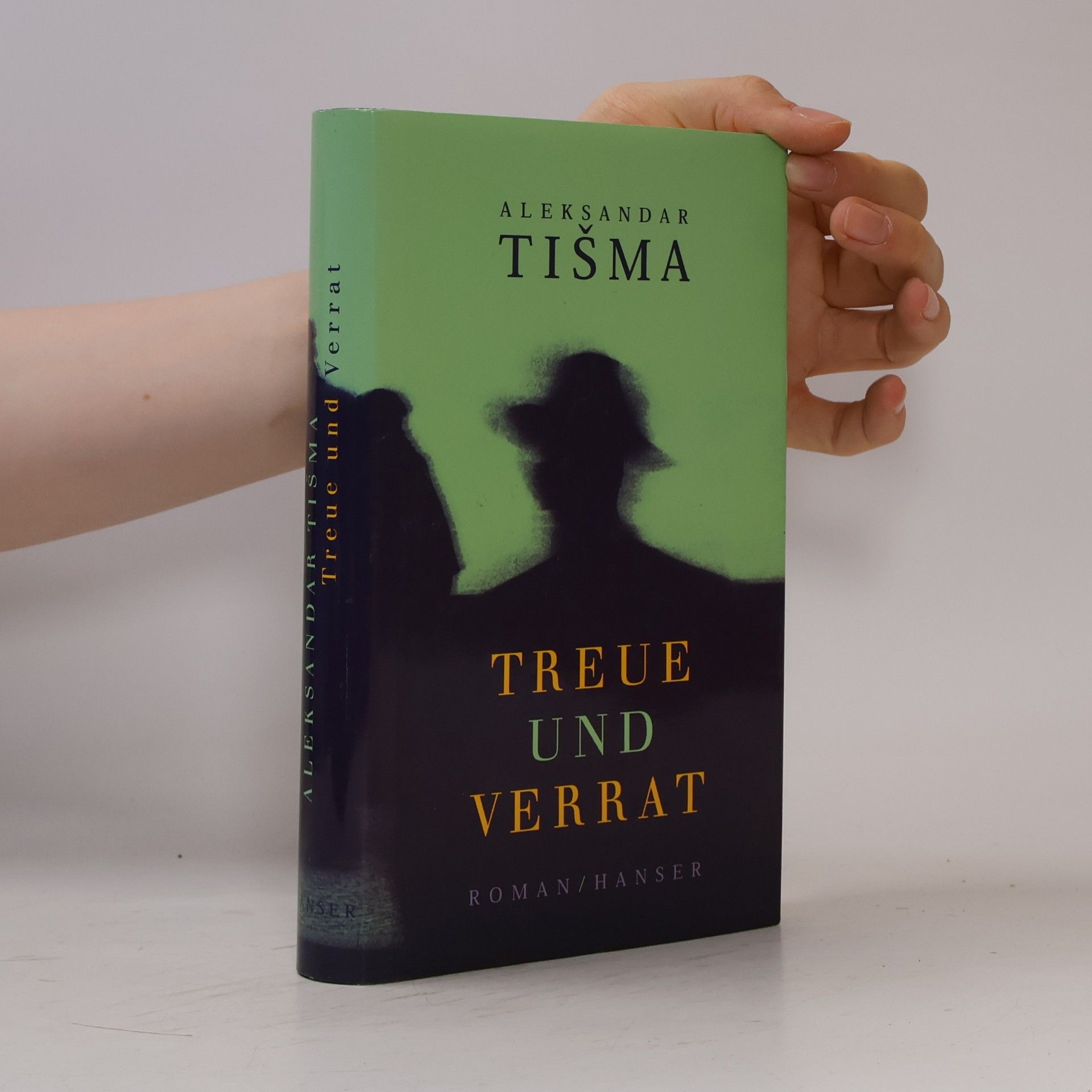 Aleksandar Tišma Treue und Verrat
