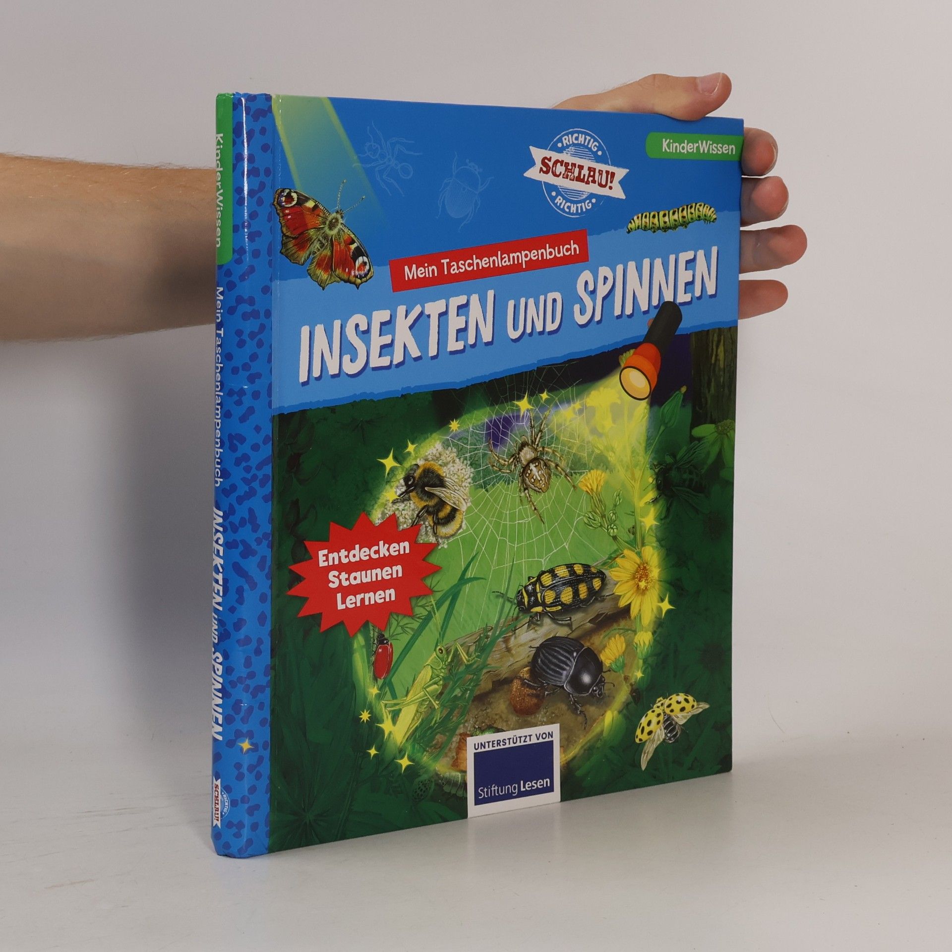 Autorenkollektiv Insekten und Spinnen
