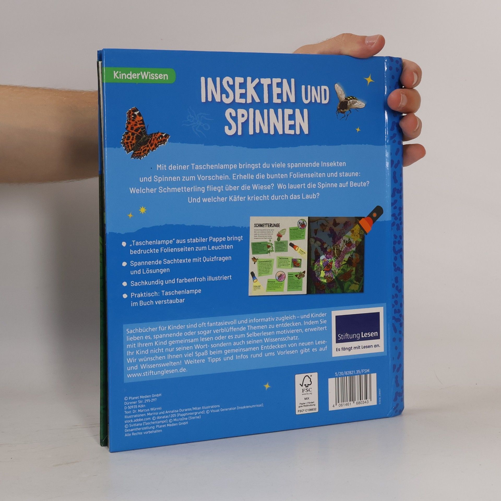 Autorenkollektiv Insekten und Spinnen