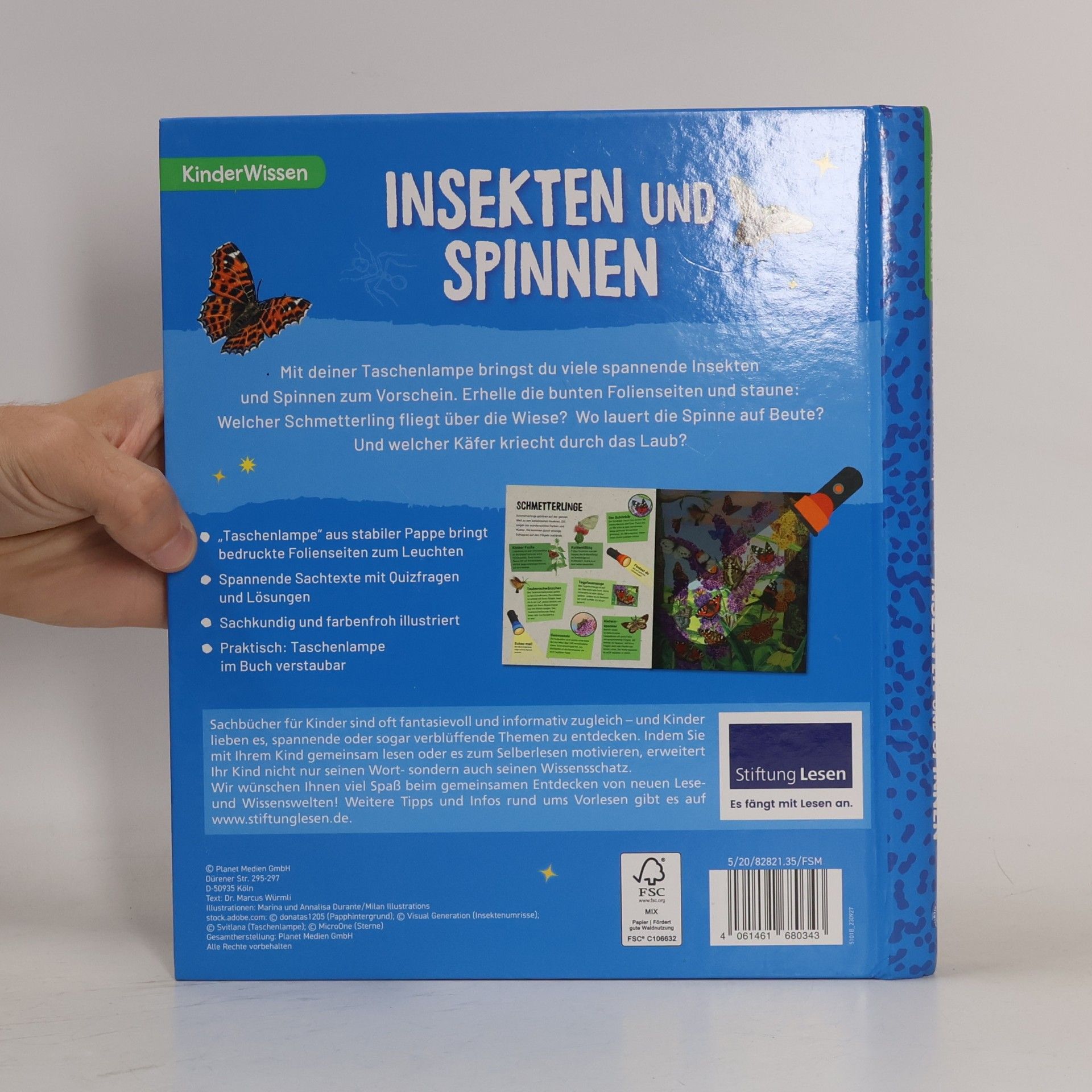 Autorenkollektiv Insekten und Spinnen