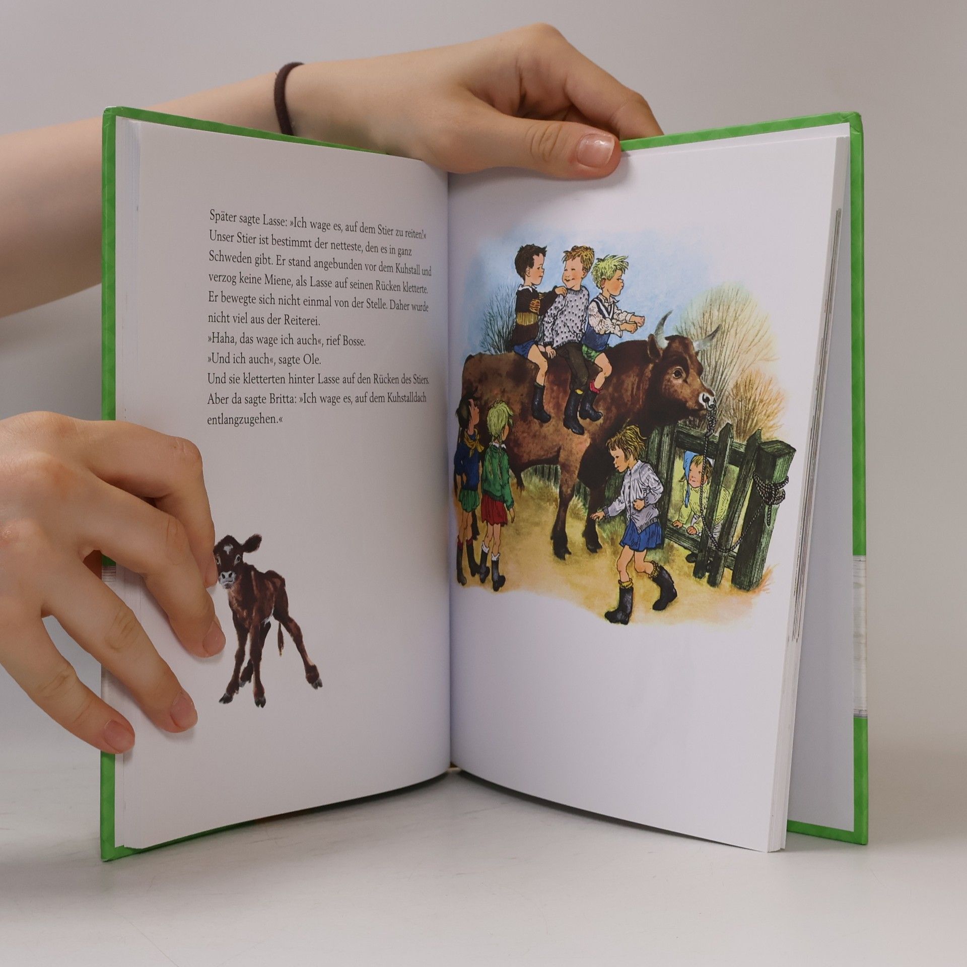 Astrid Lindgren Geschichten aus Bullerbü