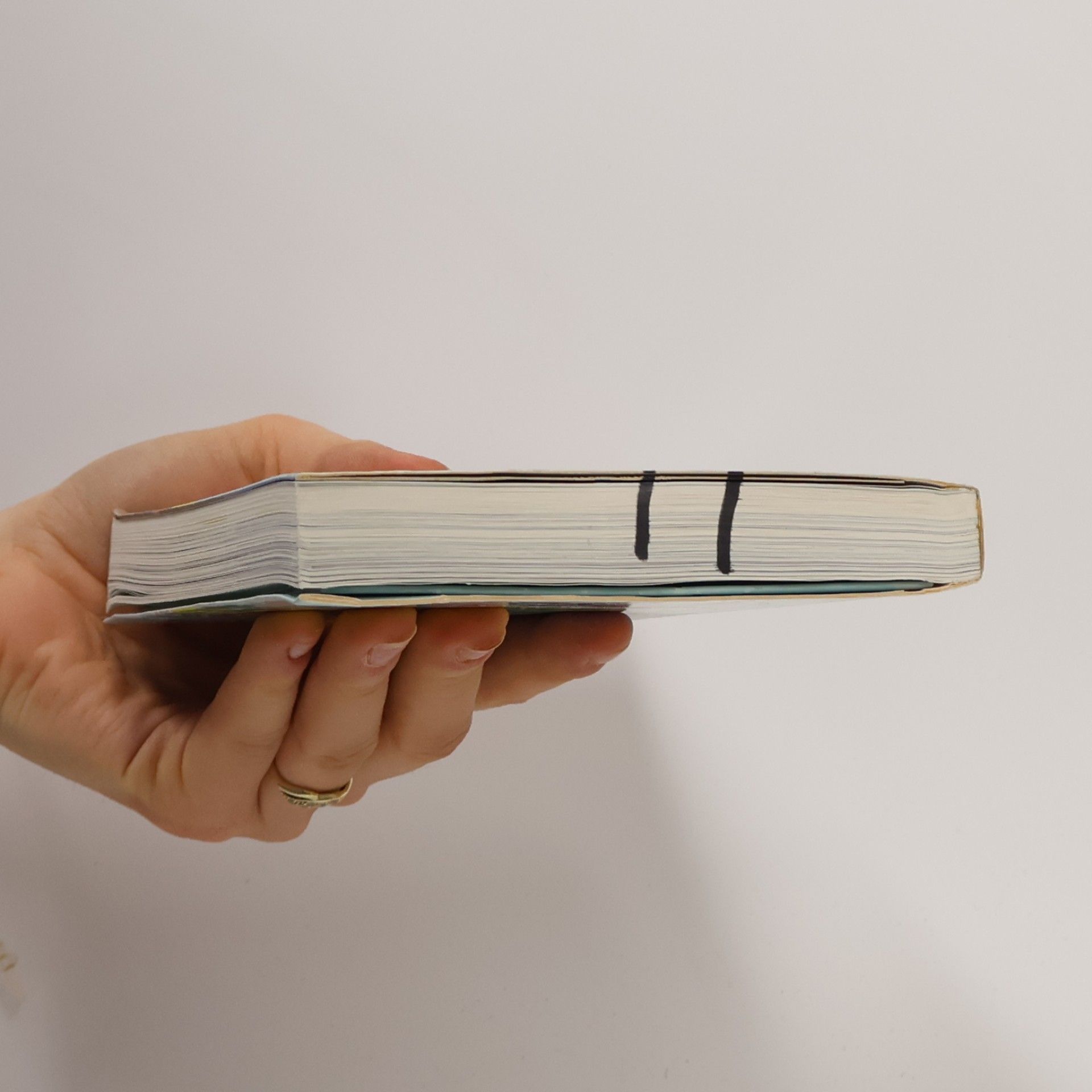 Autorenkollektiv Türkei. Die Südküste