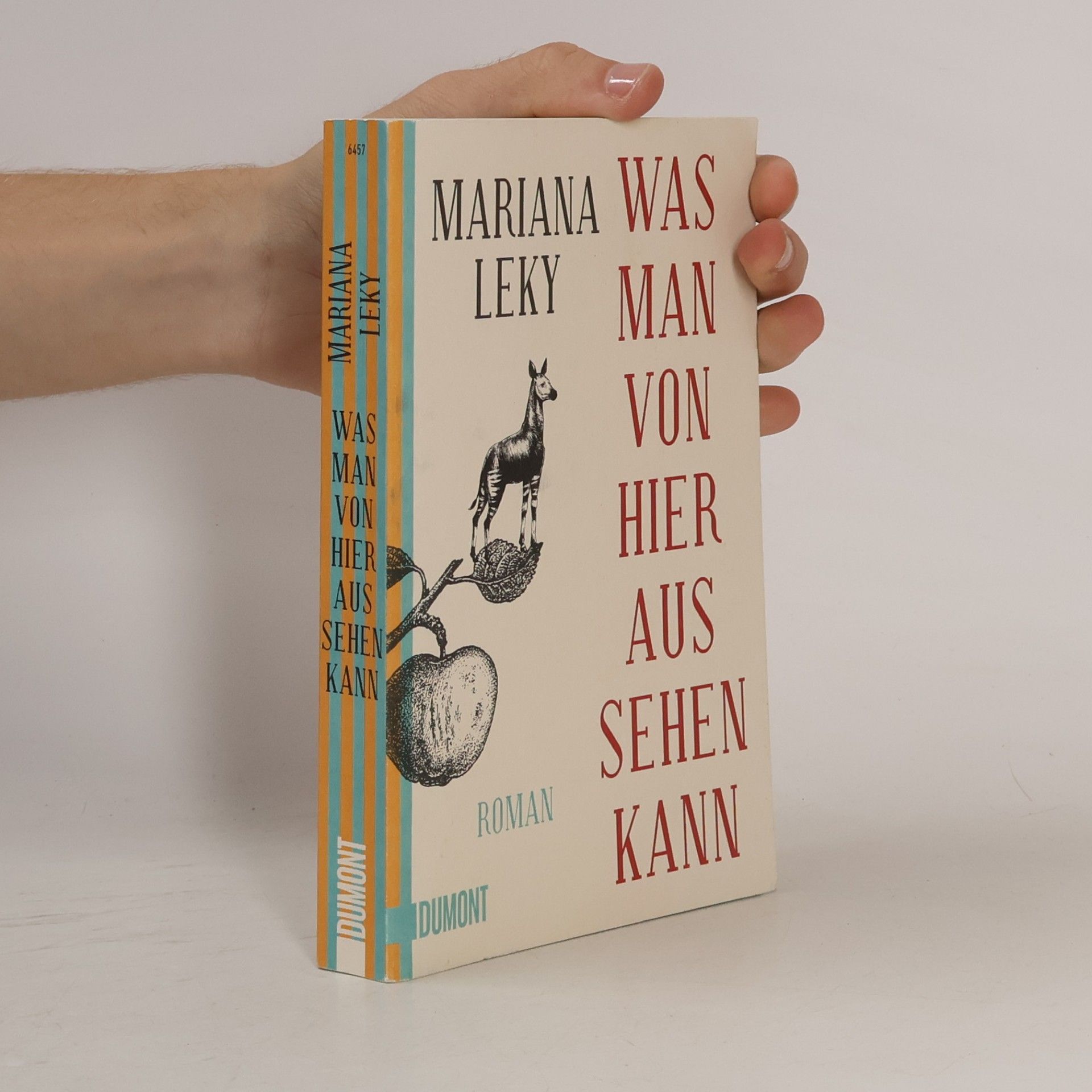 Mariana Leky Was man von hier aus sehen kann