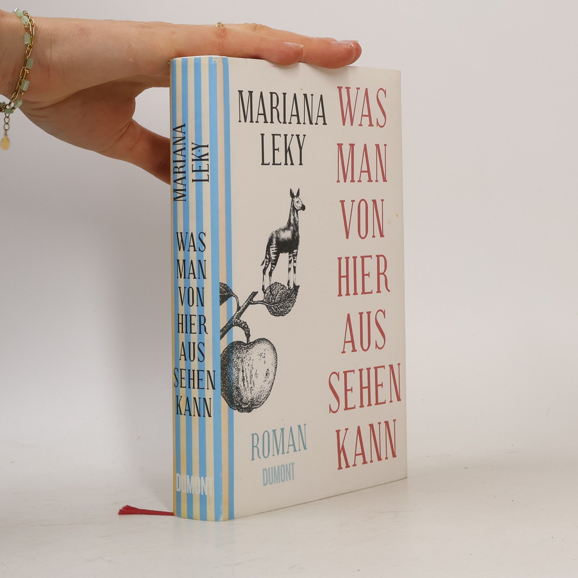 Mariana Leky Was man von hier aus sehen kann