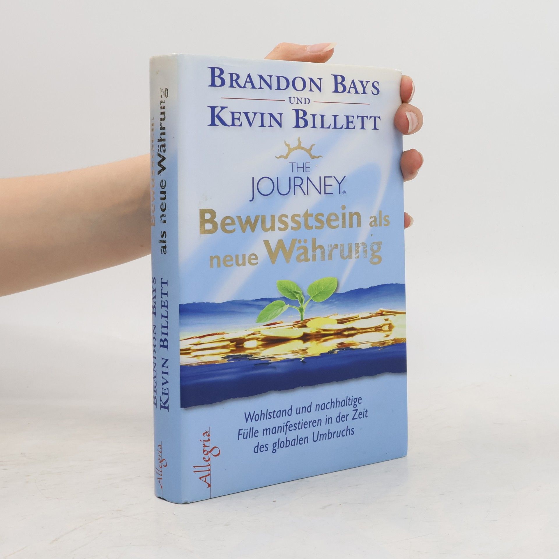Brandon Bays The Journey - Bewusstsein als neue Währung