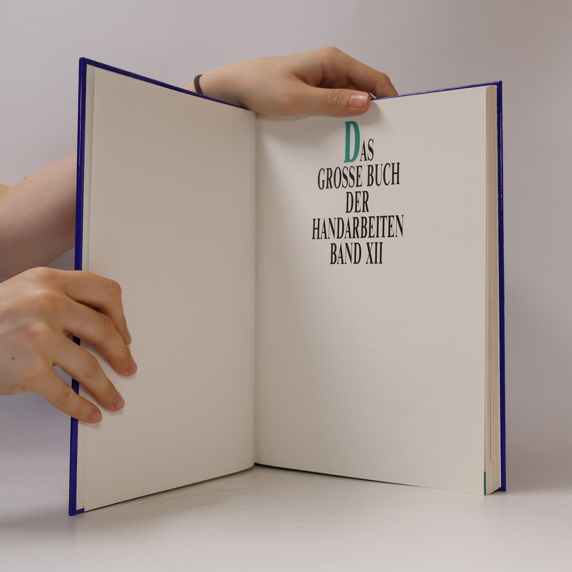kolektiv Das grosse Buch der Handarbeiten XXI.