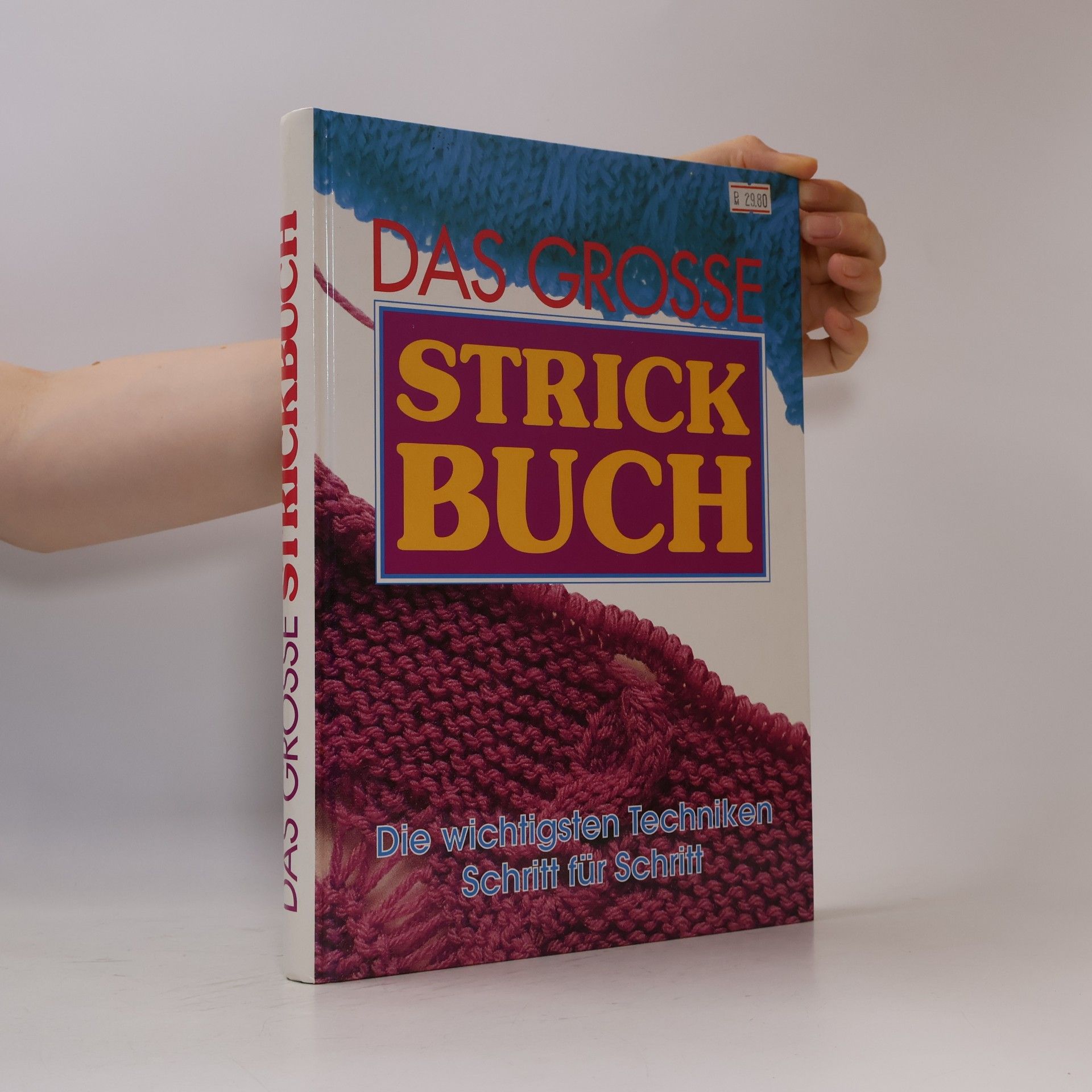 Kolektív autorov Das große Strickbuch