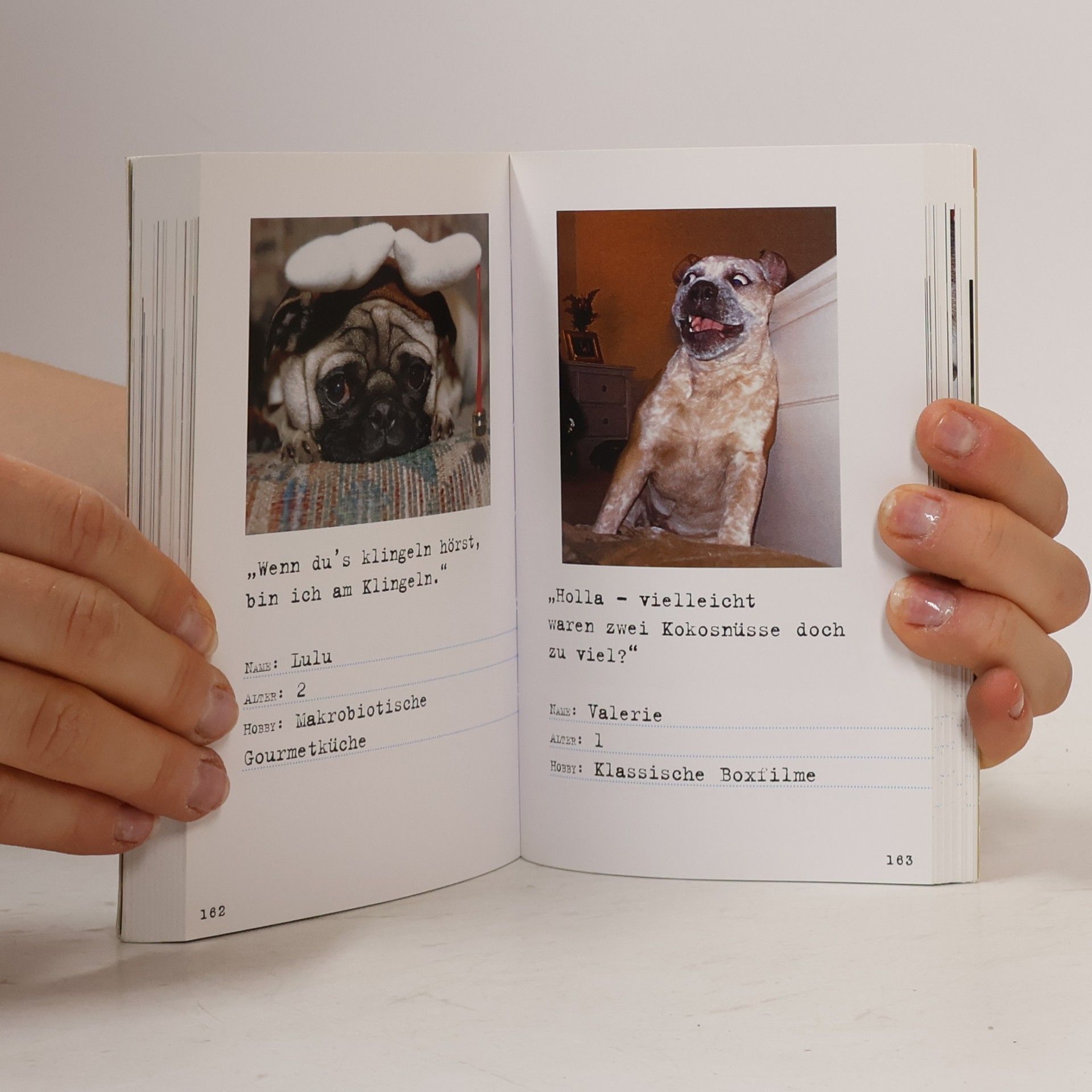 Richard Dean Rosen Bad Dog