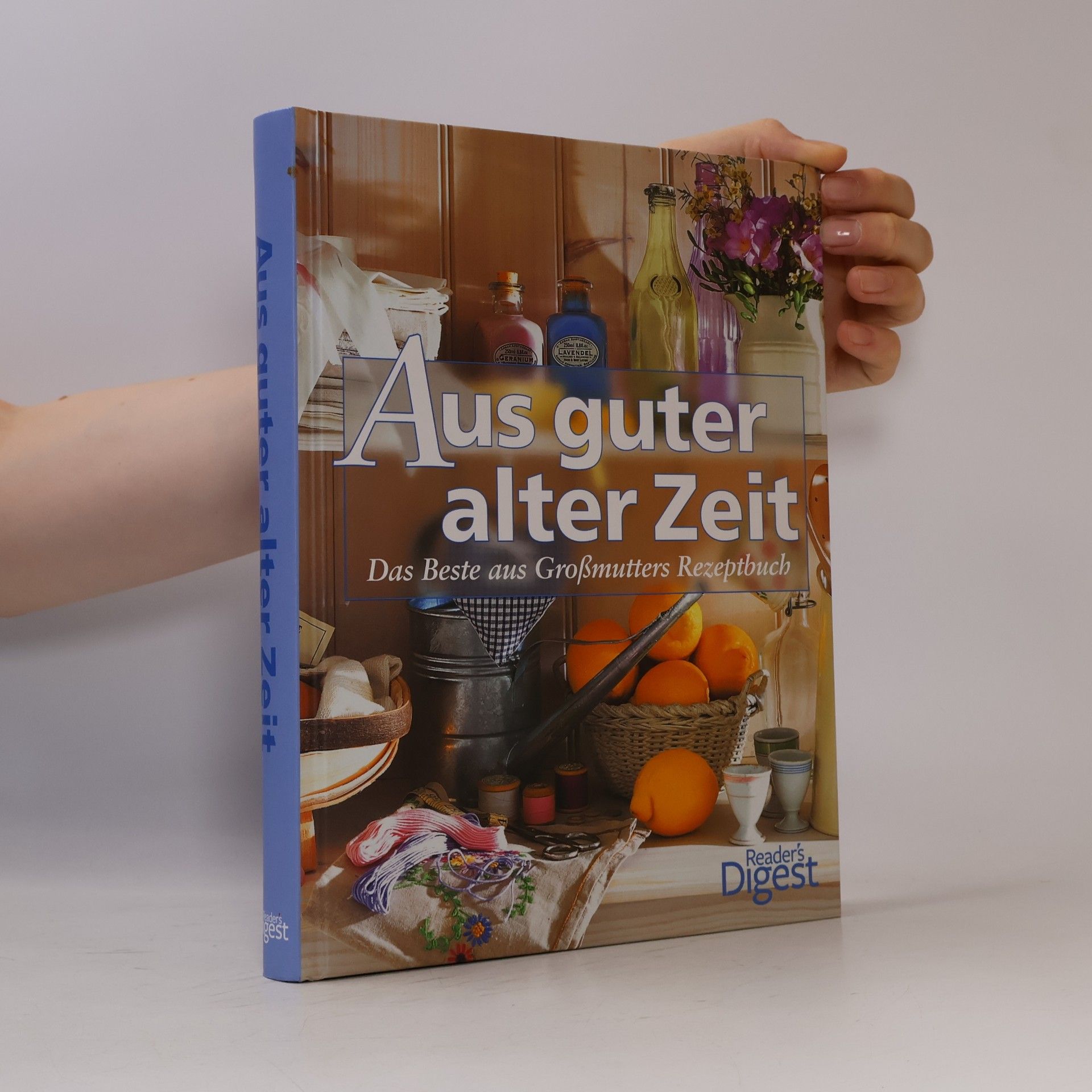 Irmela Arnsperger Aus guter alter Zeit