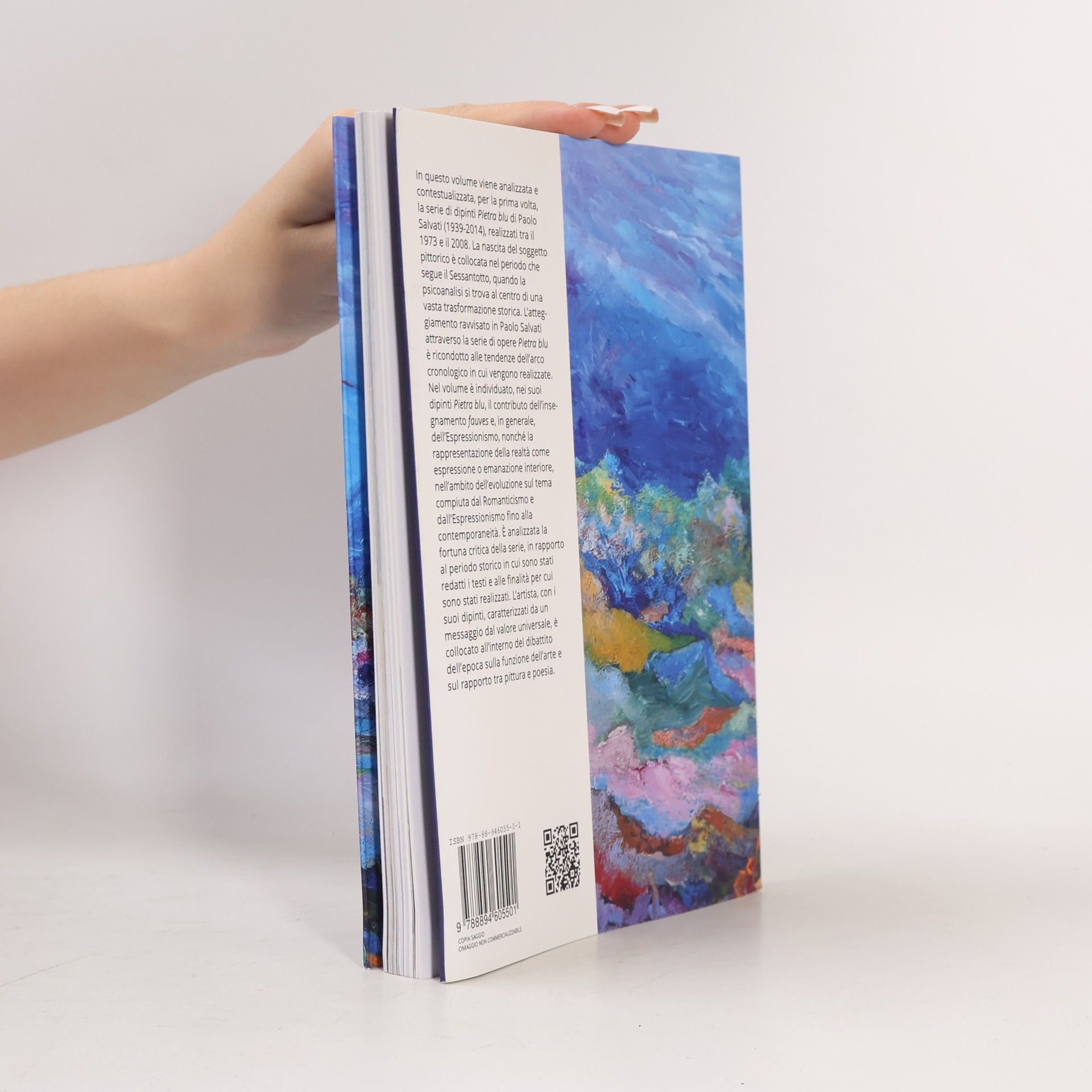 Michela Ramadori I dipinti raffiguranti la Pietra blu di Paolo Salvati