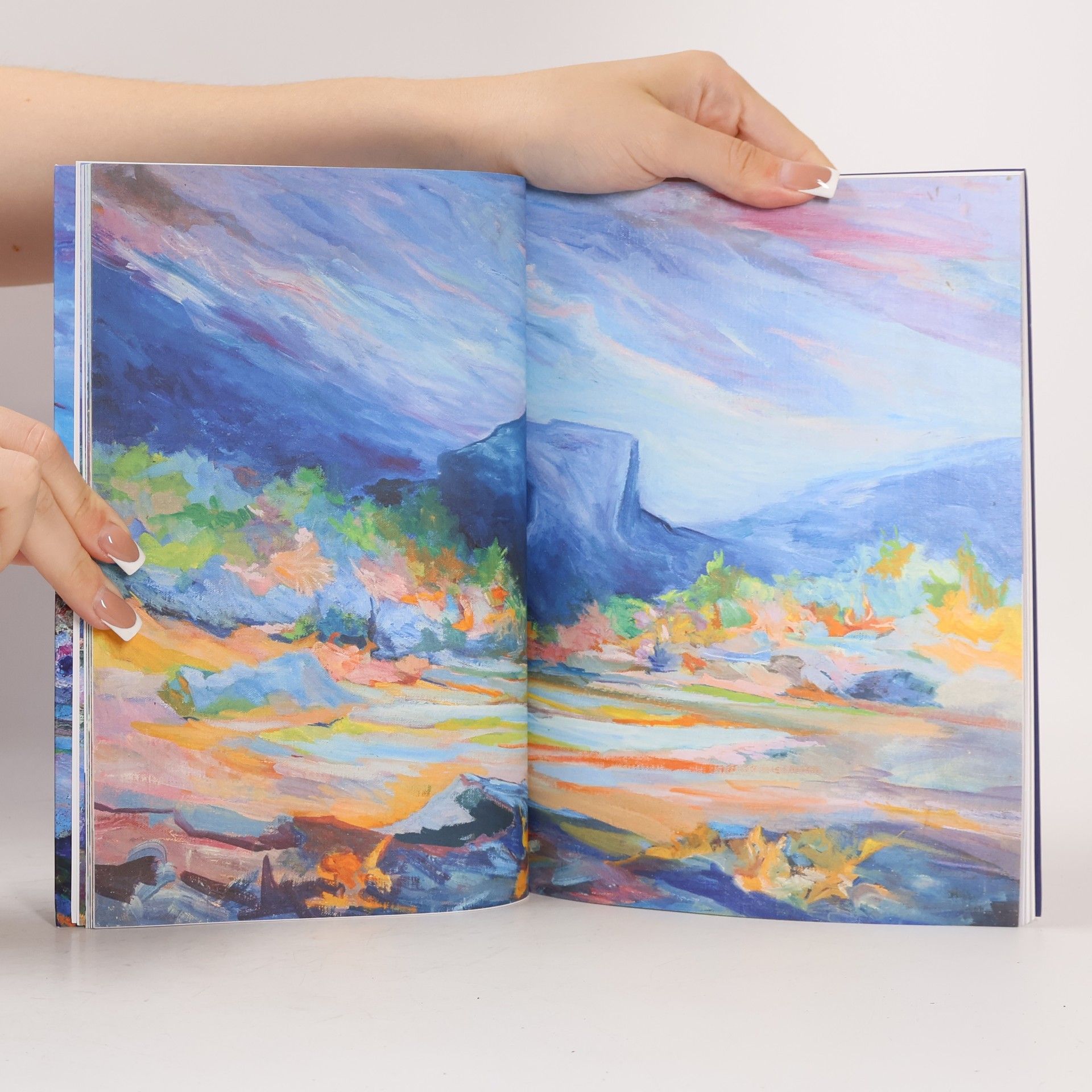 Michela Ramadori I dipinti raffiguranti la Pietra blu di Paolo Salvati