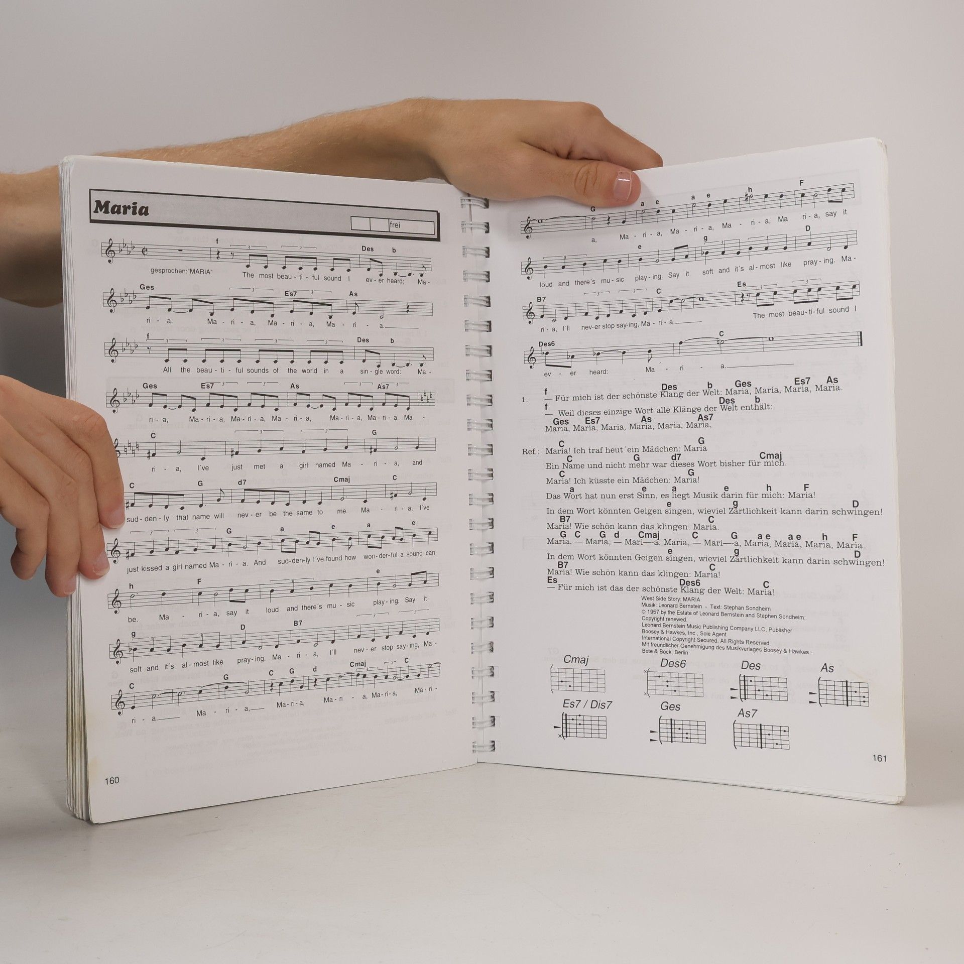 Gerhard Hildner Evergreen-Musicbox. Grossausgabe