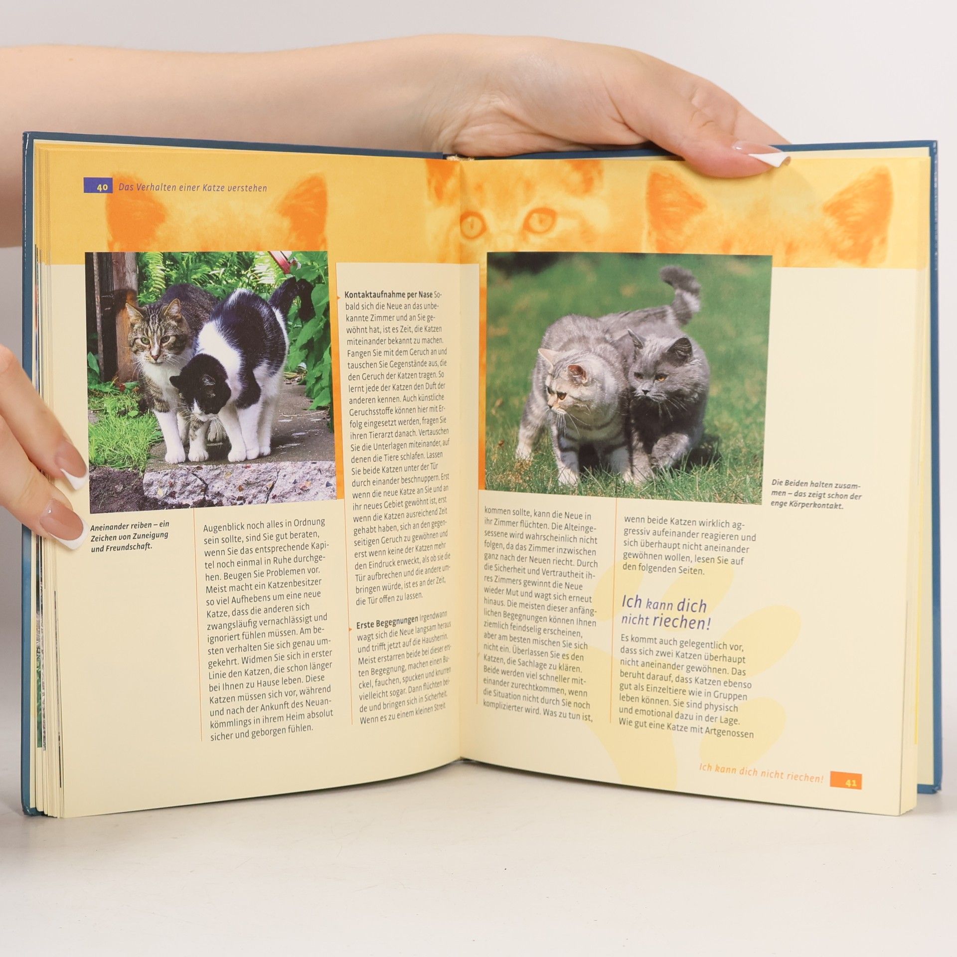 Gwen Bohnenkamp Was Katzen wirklich brauchen