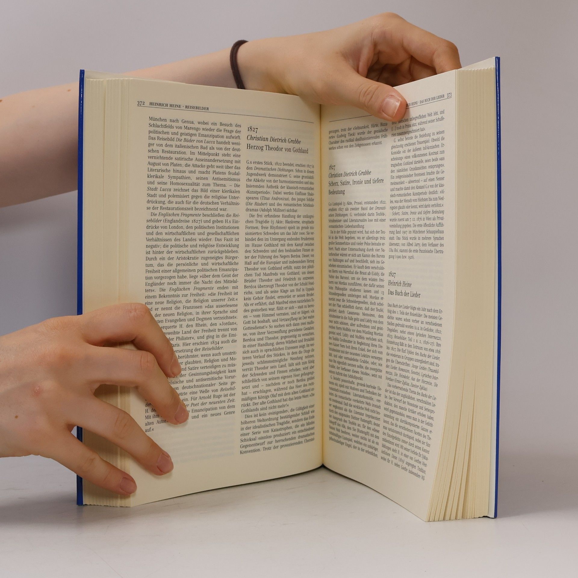 Volker Meid Metzler-Literatur-Chronik