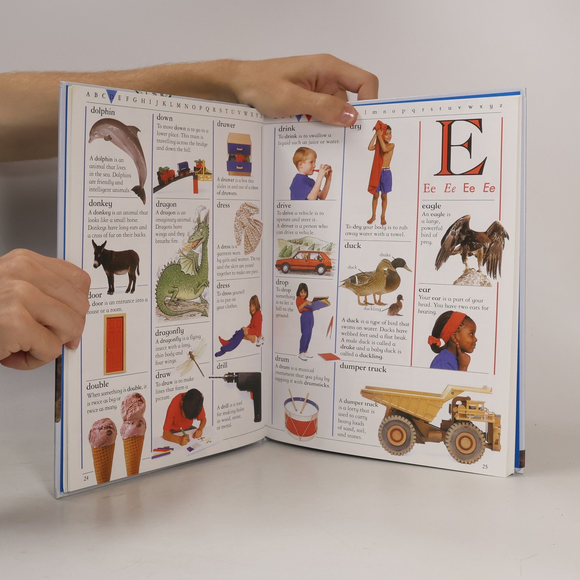 Betty Root Mein erstes englisches Wörterbuch