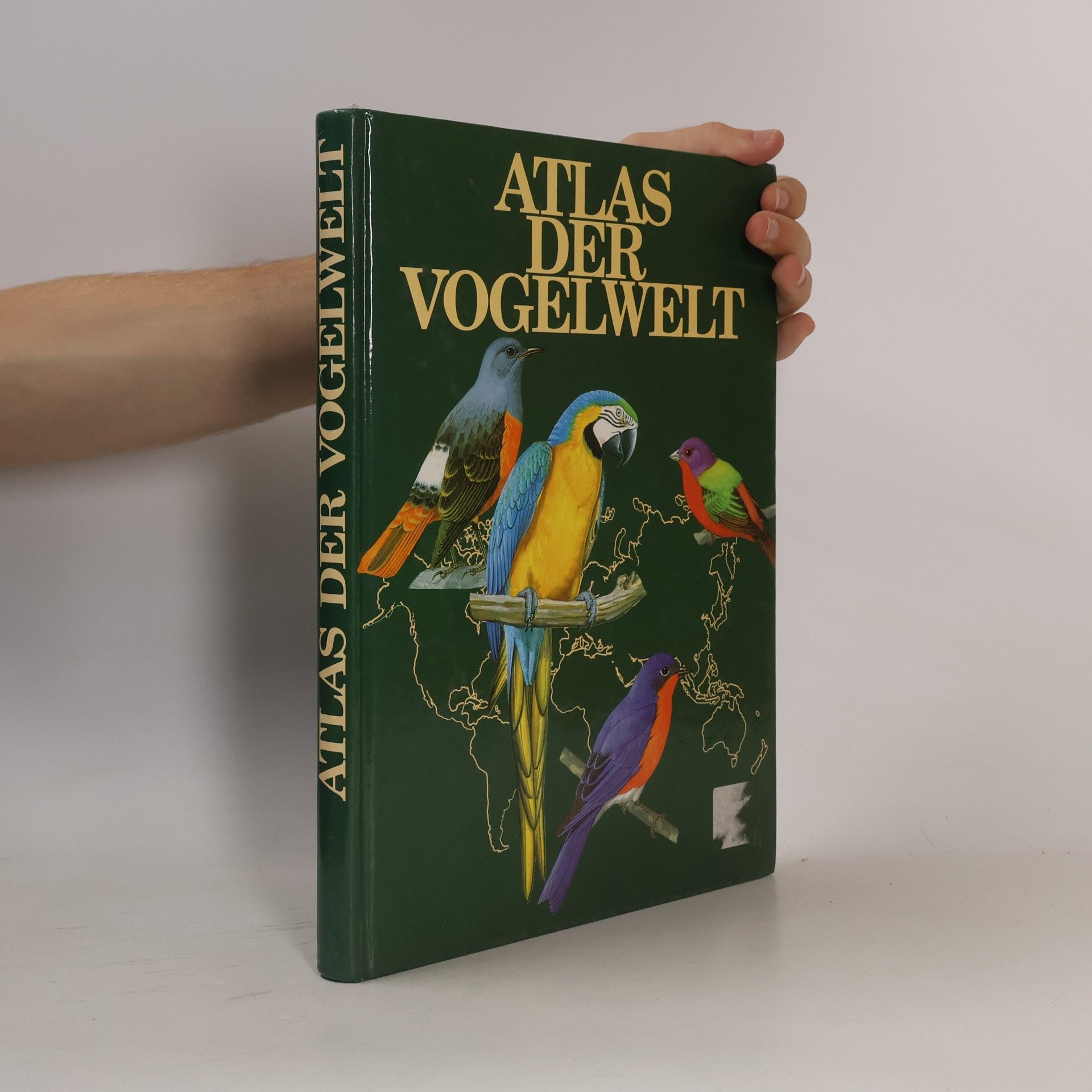 Goetz Rheinwald Atlas der Vogelwelt