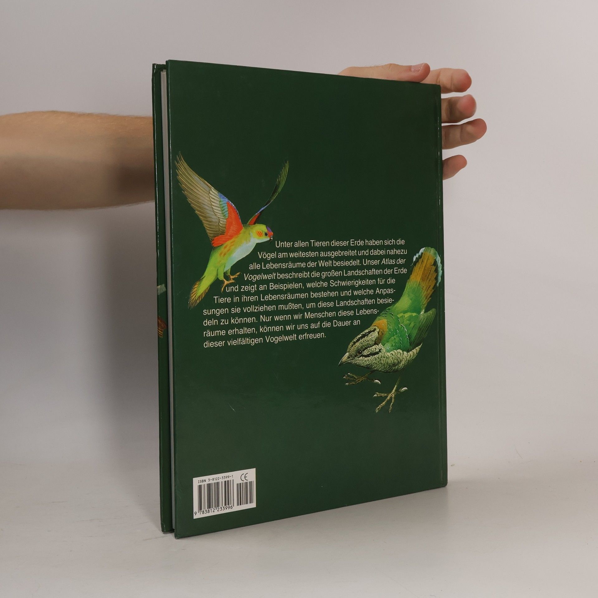 Goetz Rheinwald Atlas der Vogelwelt