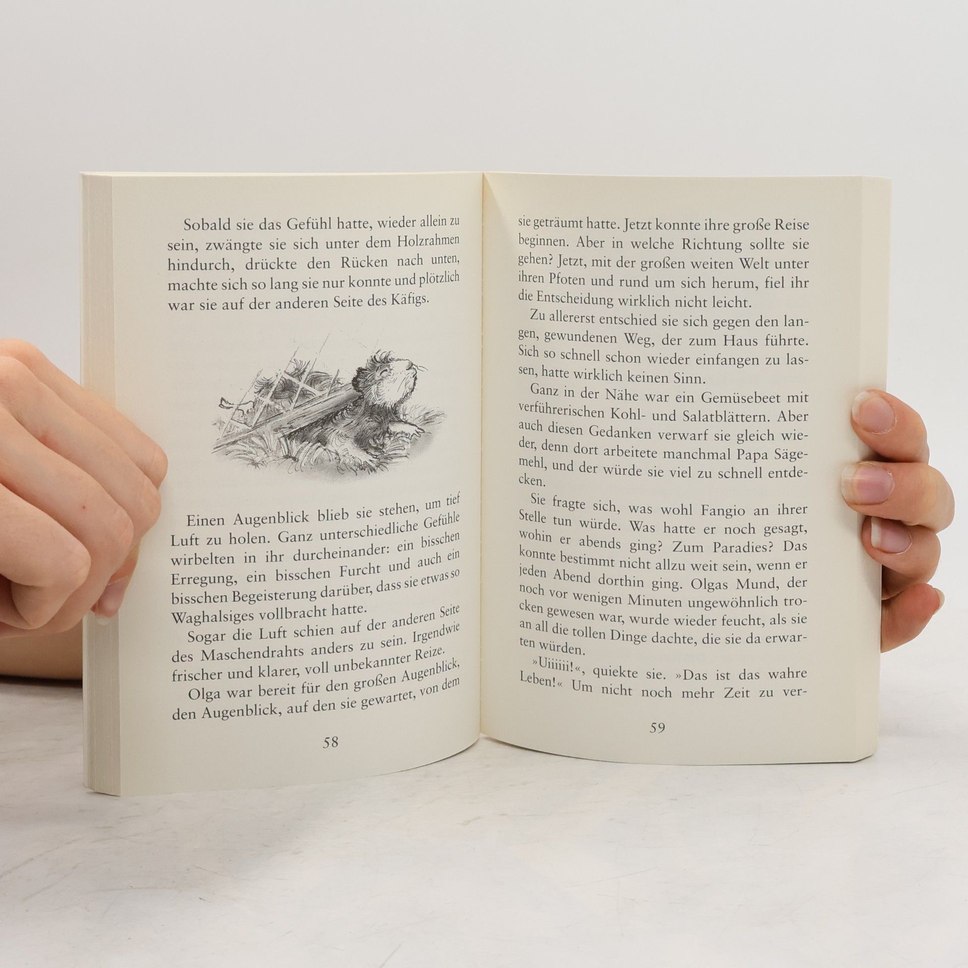 Michael Bond Olga, das frechste Meerschweinchen der Welt