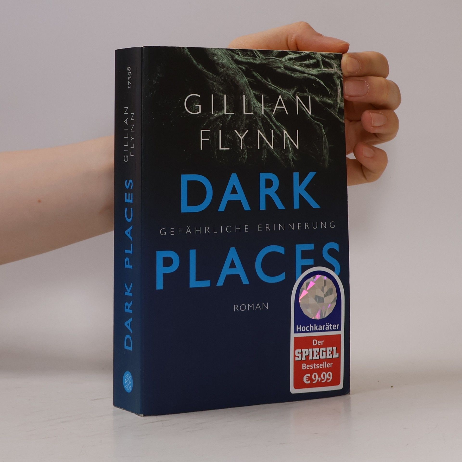 Gillian Flynn Dark Places - Gefährliche Erinnerung