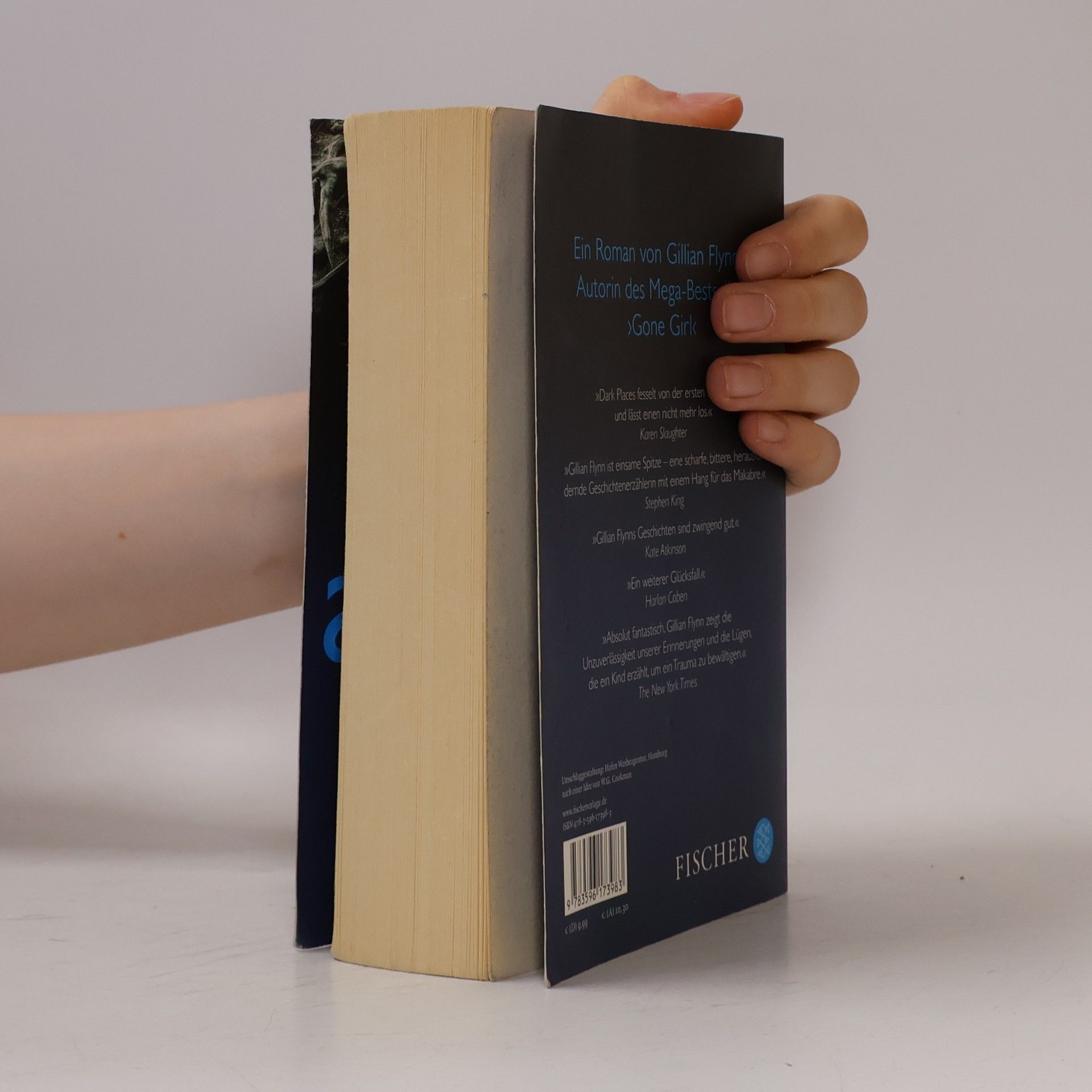 Gillian Flynn Dark Places - Gefährliche Erinnerung
