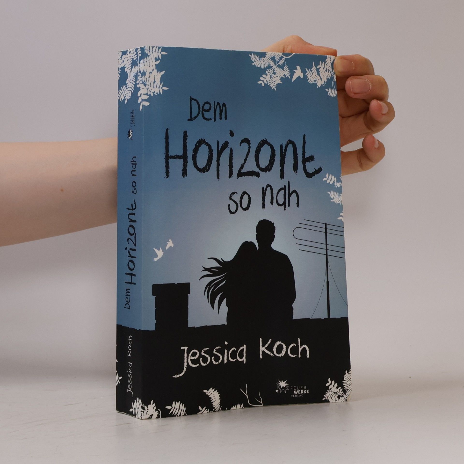 Jessica Koch Dem Horizont so nah