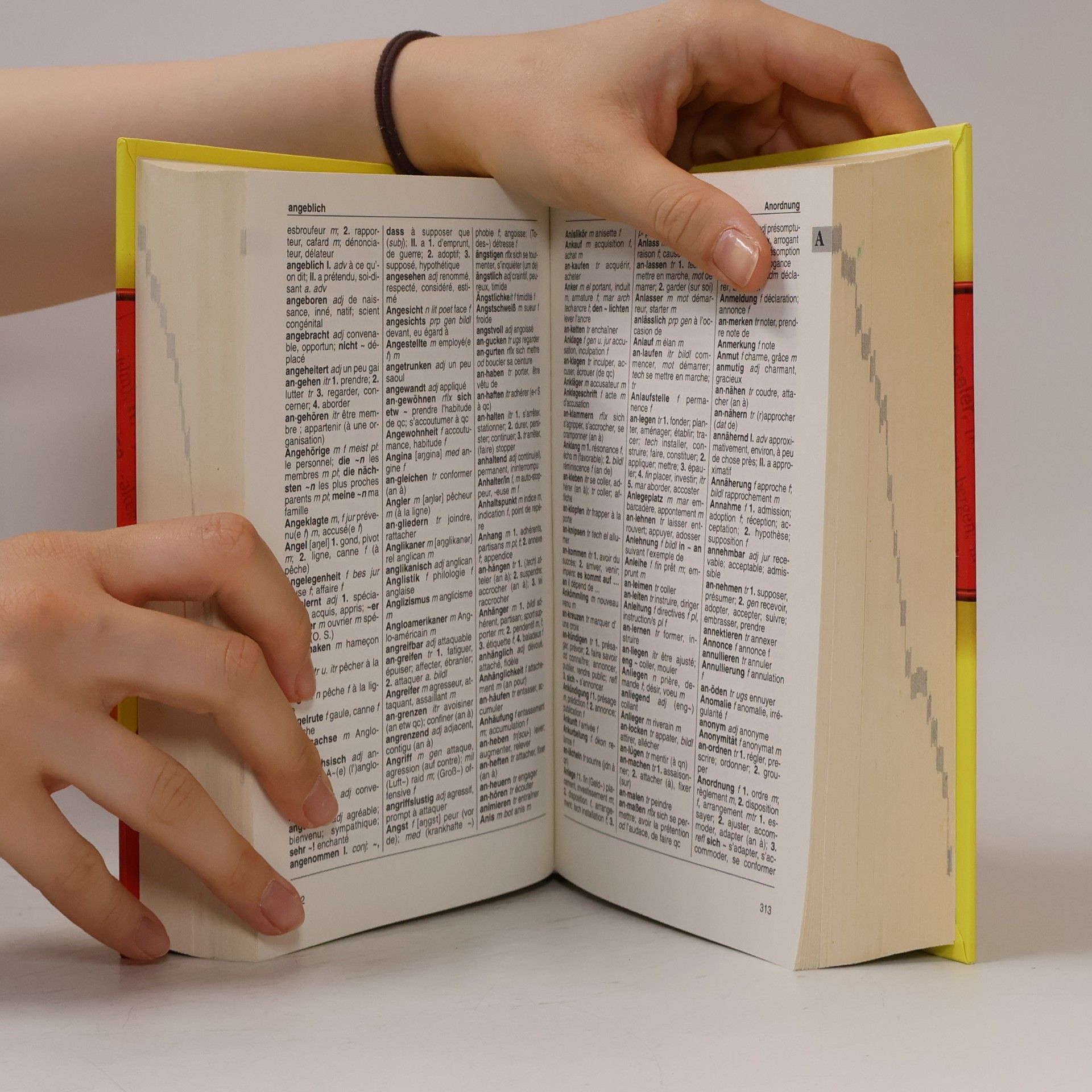 Wörterbuch französisch - deutsch, deutsch - französisch