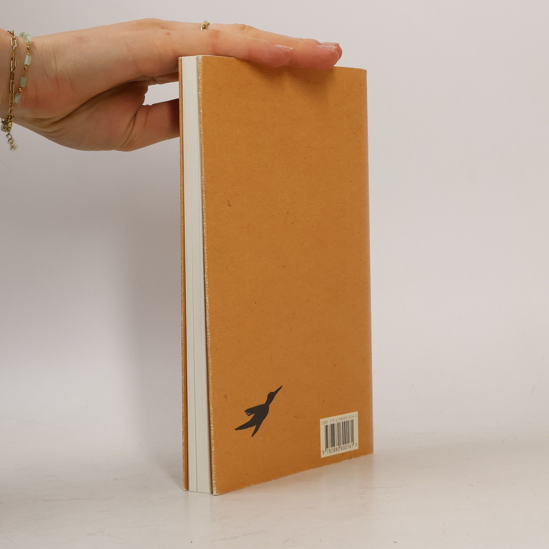 Hughes Richard Miquette et le Quiperlibresson : ou la fable facétieuse de mon oiseau-moqueur