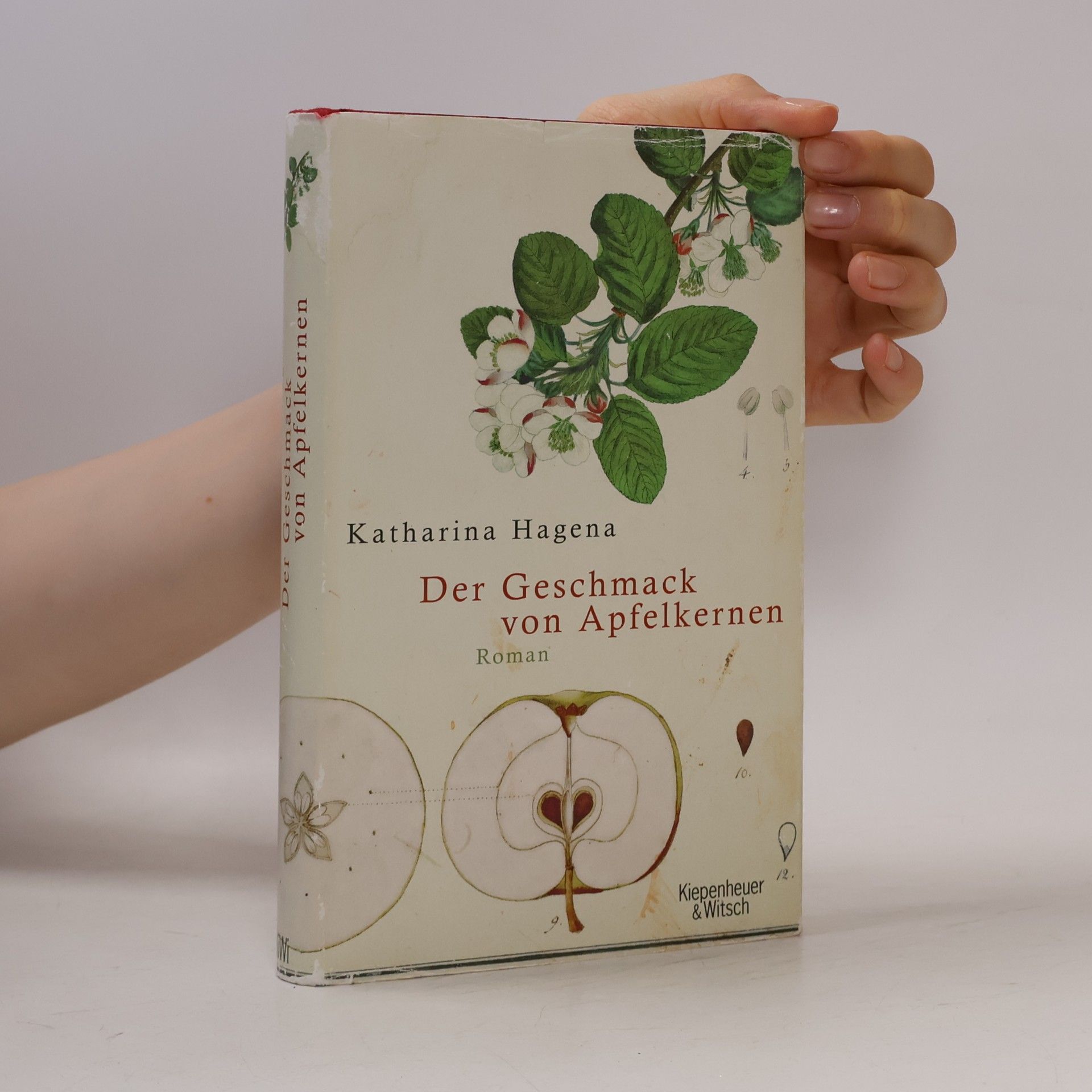 Katharina Hagena Der Geschmack von Apfelkernen
