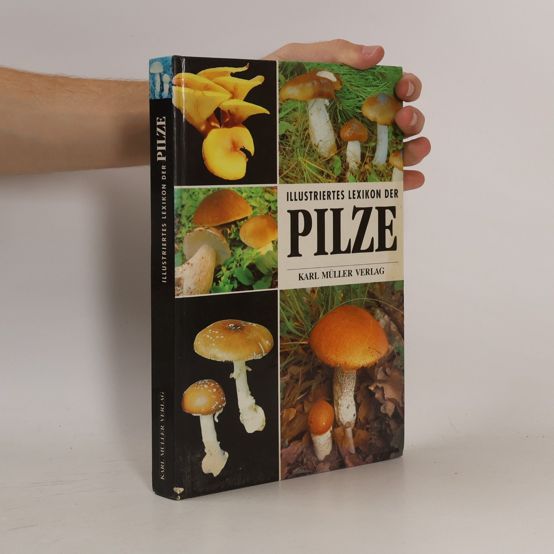 Ladislav Hagara Illustriertes Lexikon der Pilze
