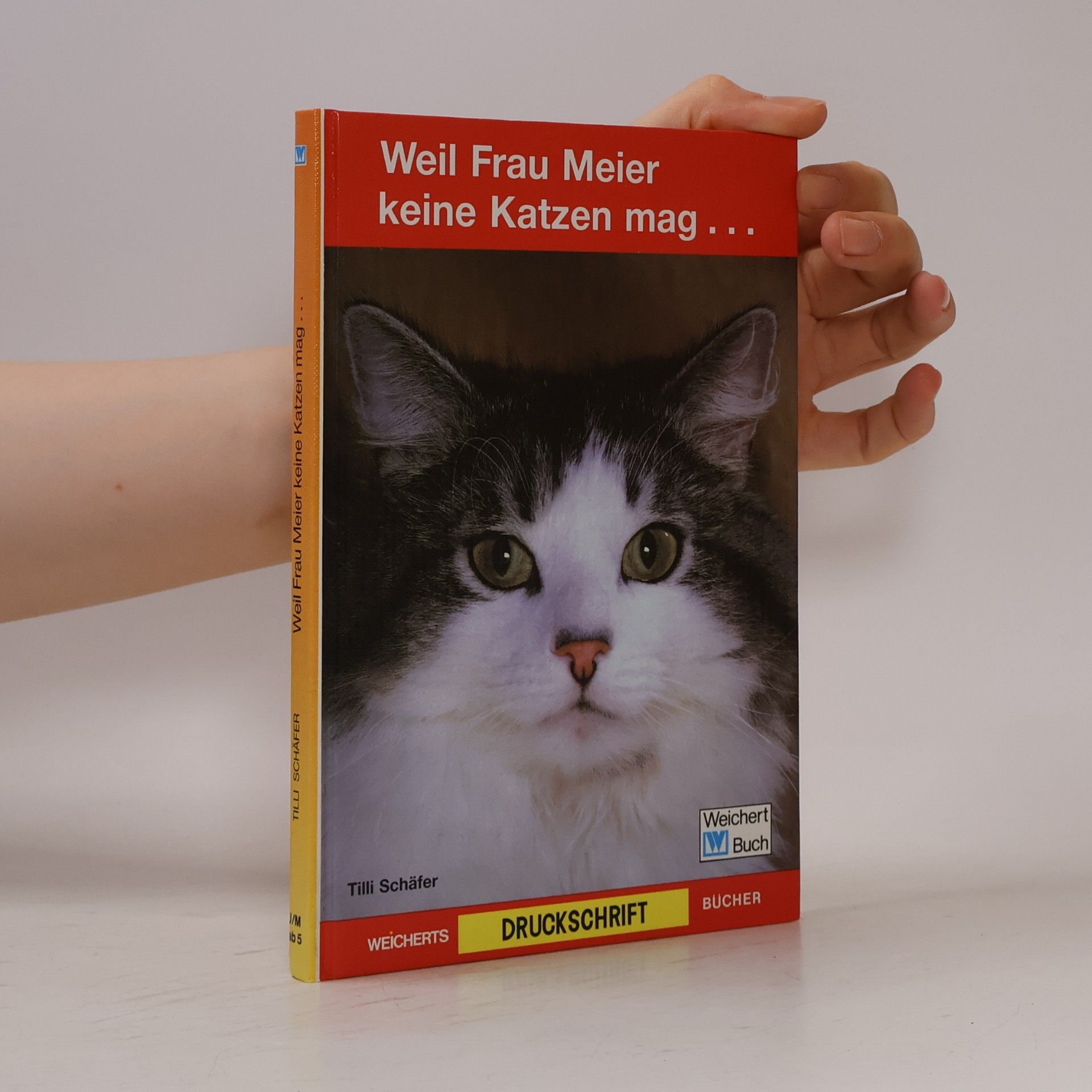 Tilli Schäfer Weil Frau Meier keine Katzen mag ...