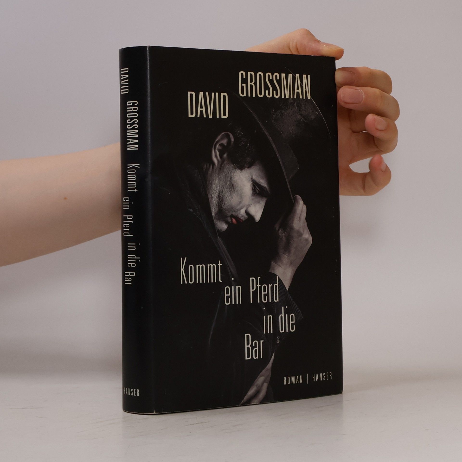 David Grossman Kommt ein Pferd in die Bar