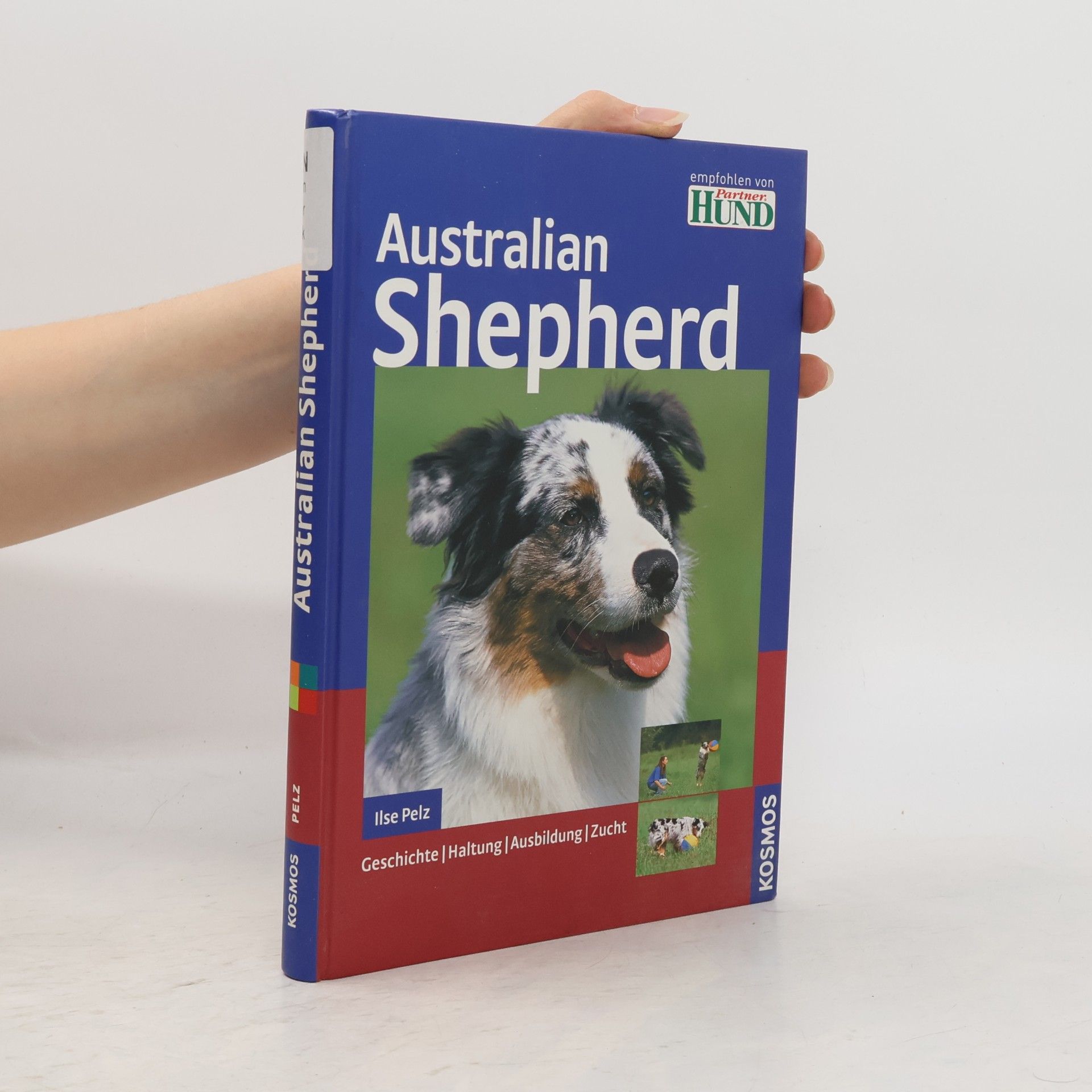 Ilse Pelz Australian Shepherd