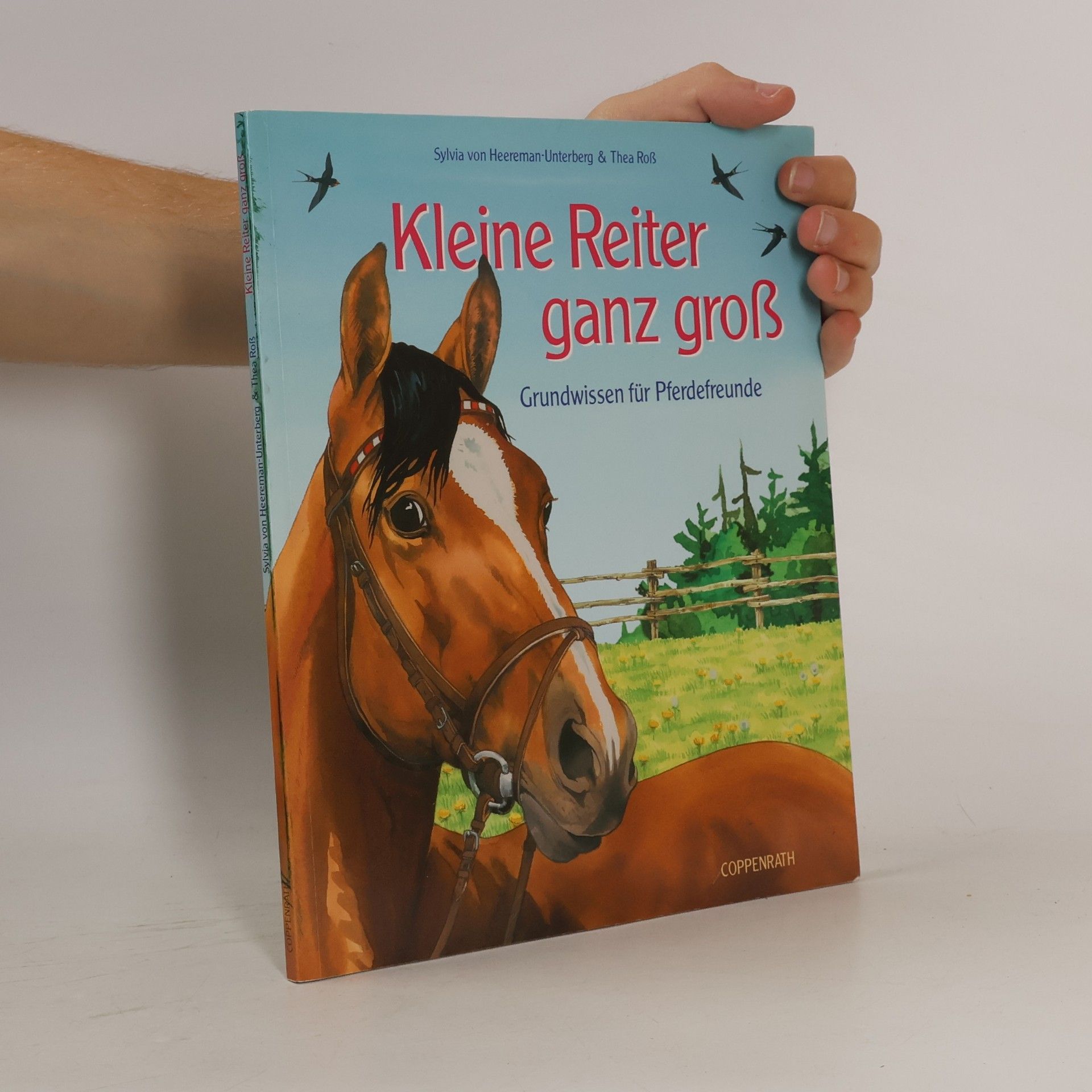 Kleine Reiter ganz groß
