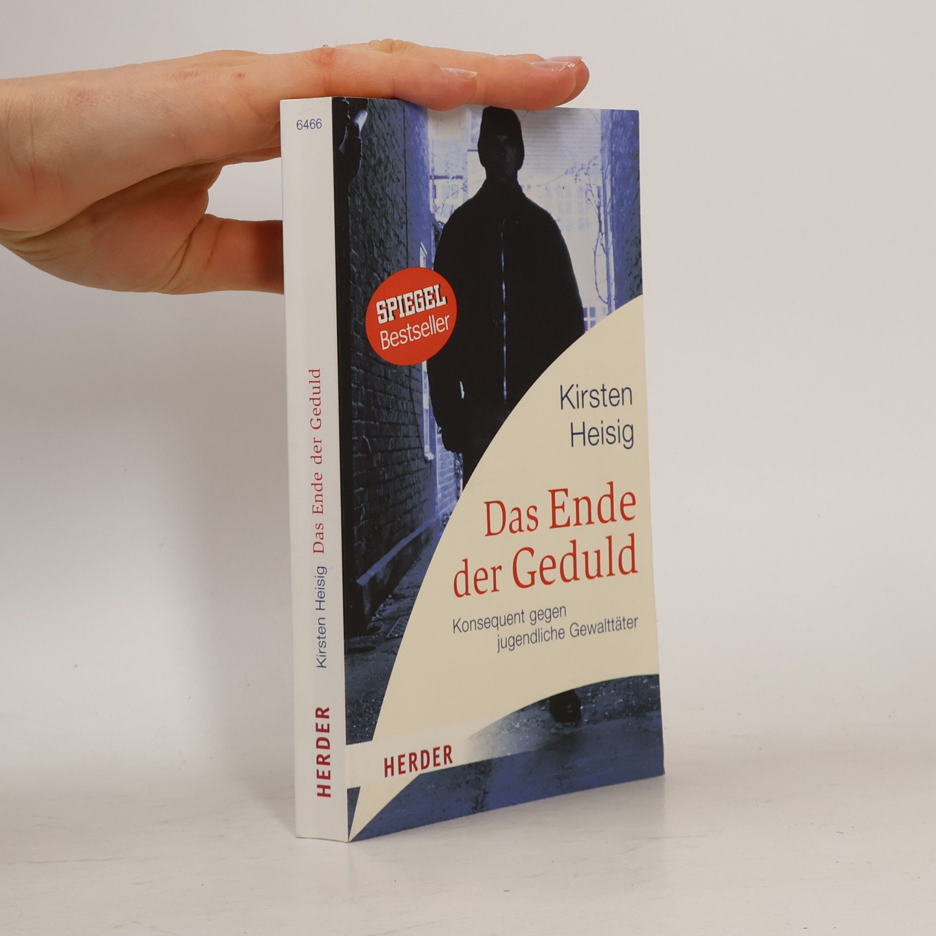 Kirsten Heisig Das Ende der Geduld
