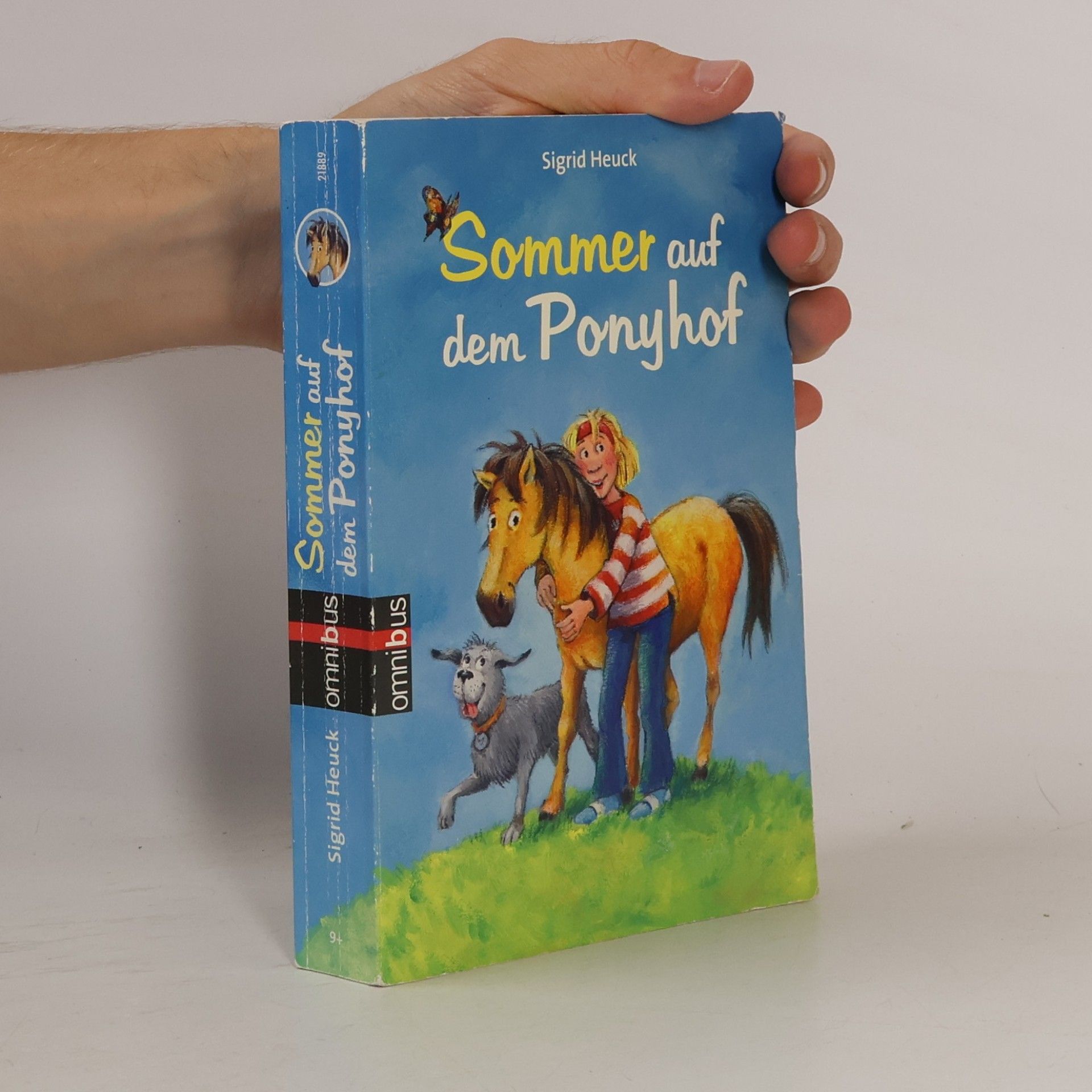 Sommer auf dem Ponyhof