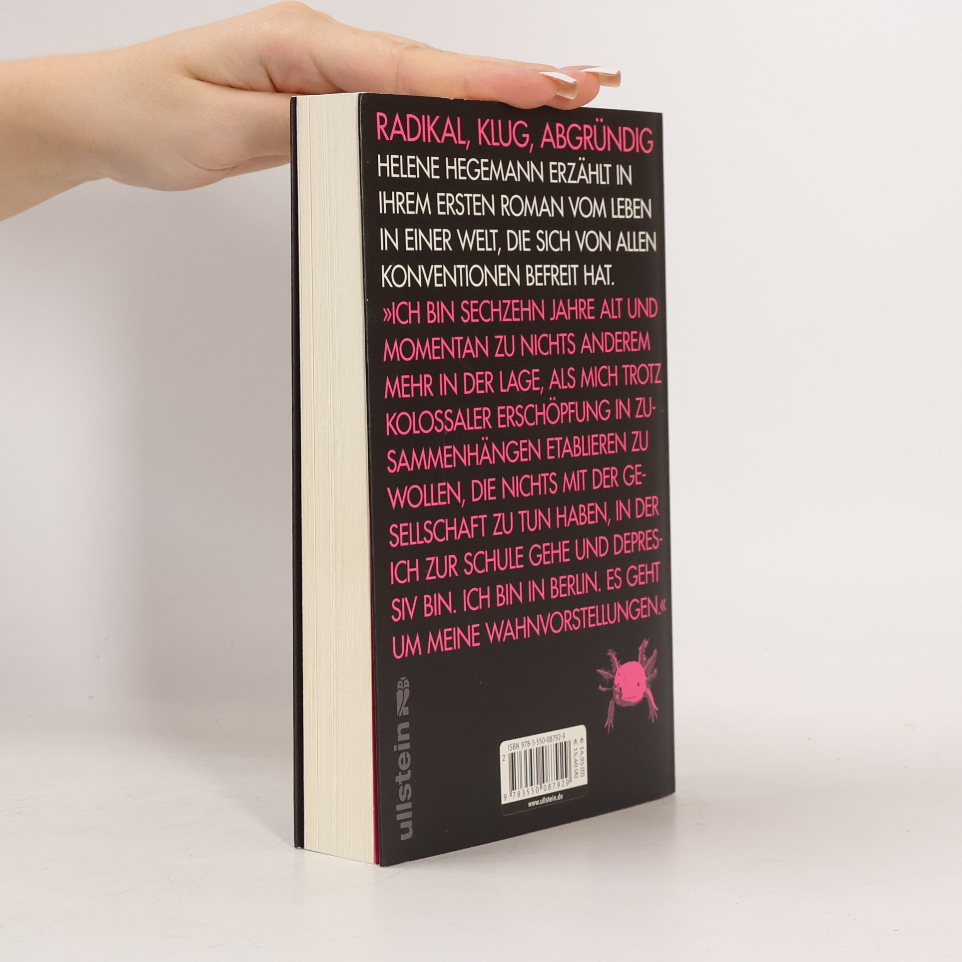 Helene Hegemann Axolotl Roadkill : Roman