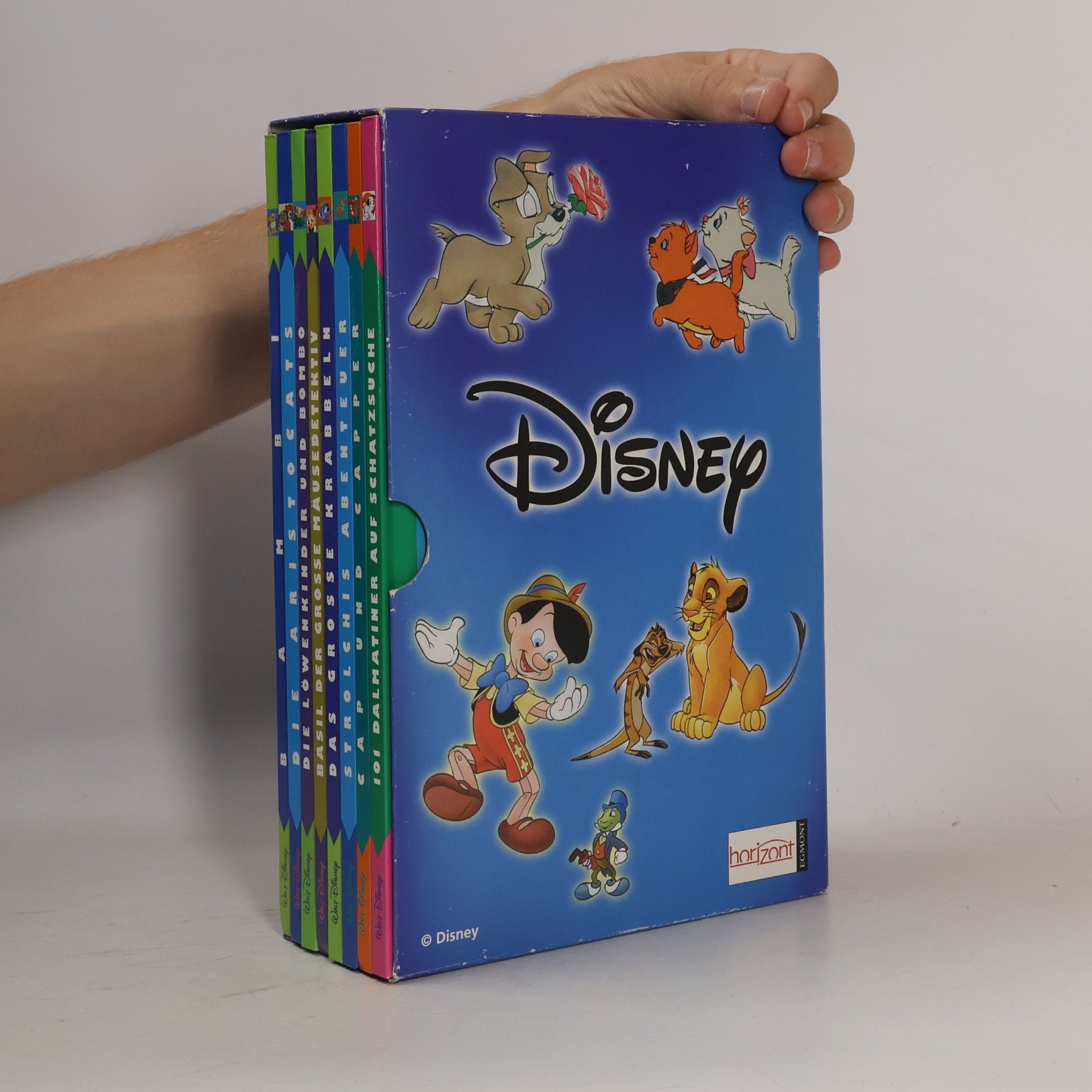Autorenkollektiv Disney Box