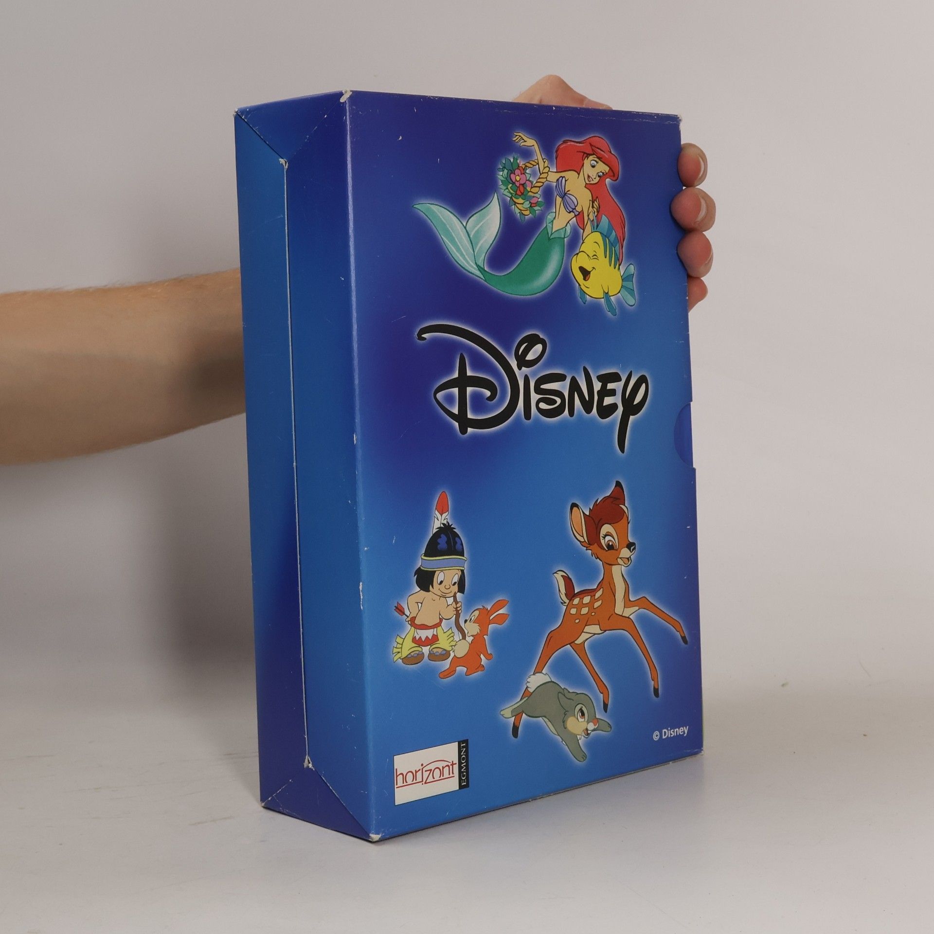 Autorenkollektiv Disney Box