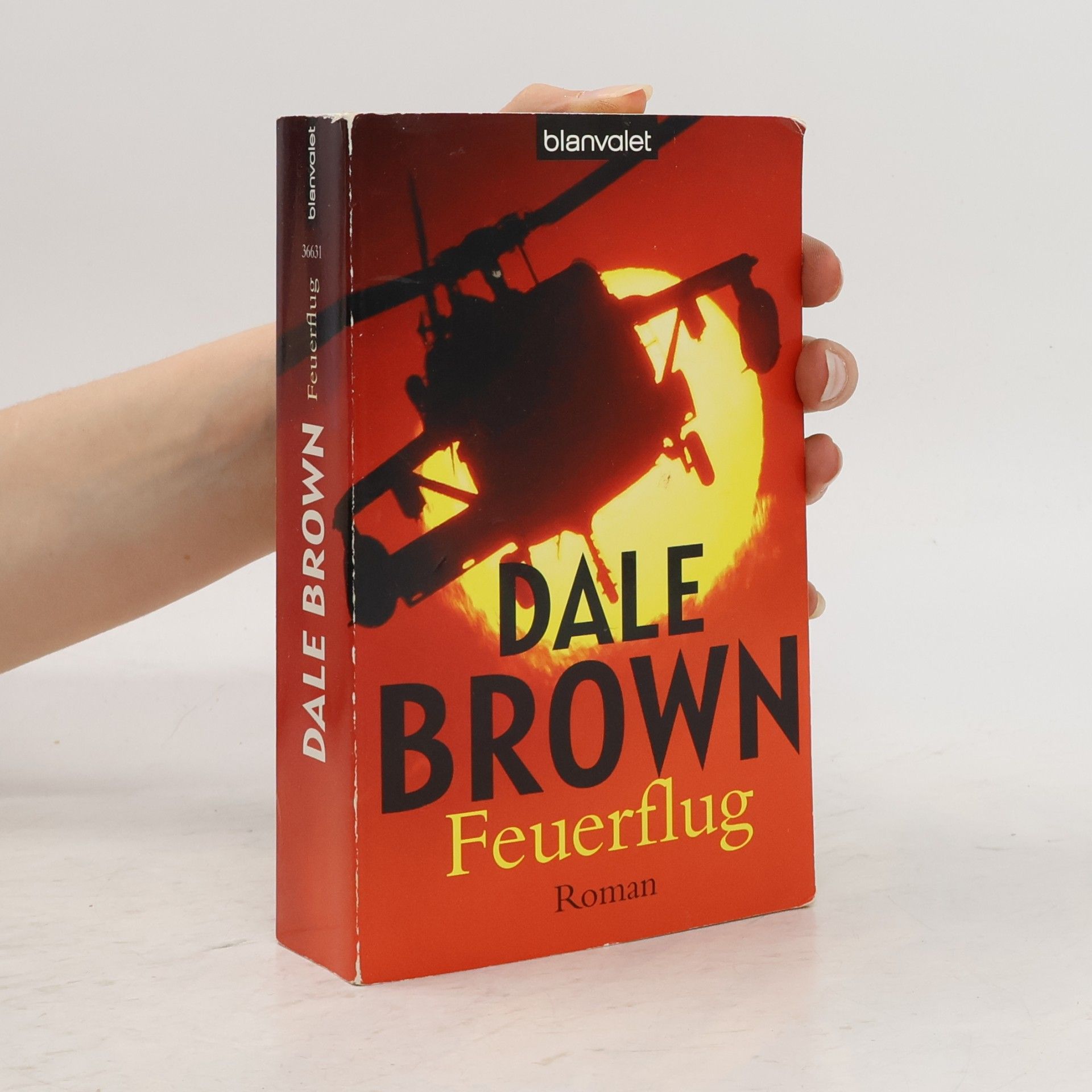 Dale Brown Feuerflug. Roman