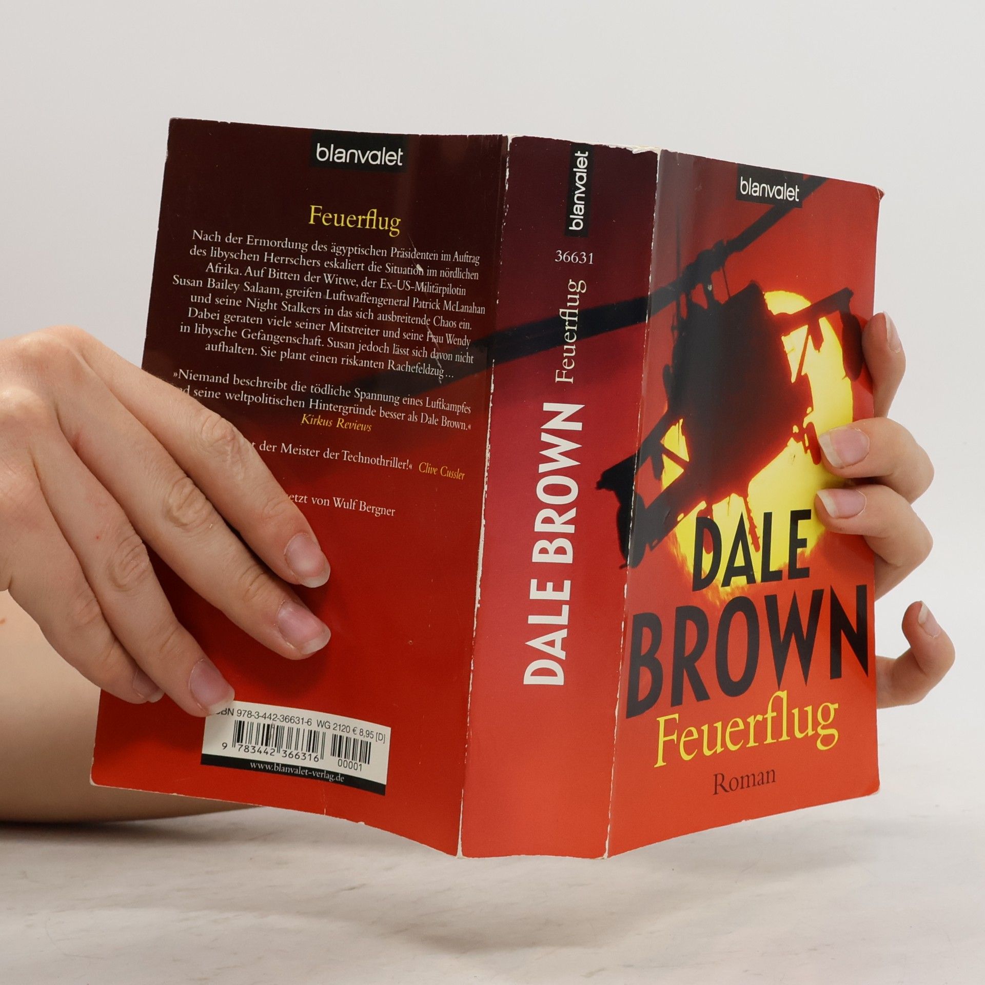 Dale Brown Feuerflug. Roman