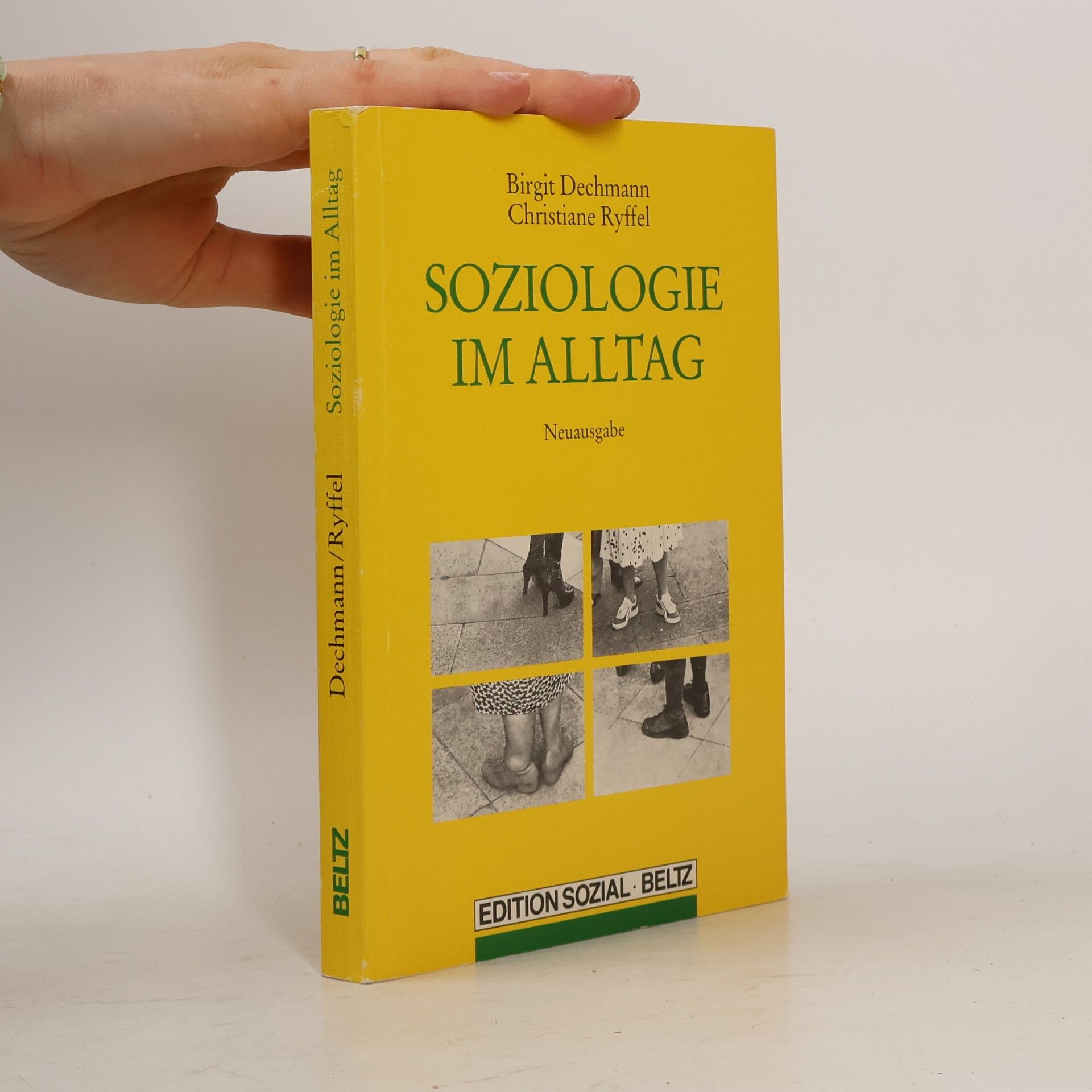 Birgit Dechmann Soziologie im Alltag