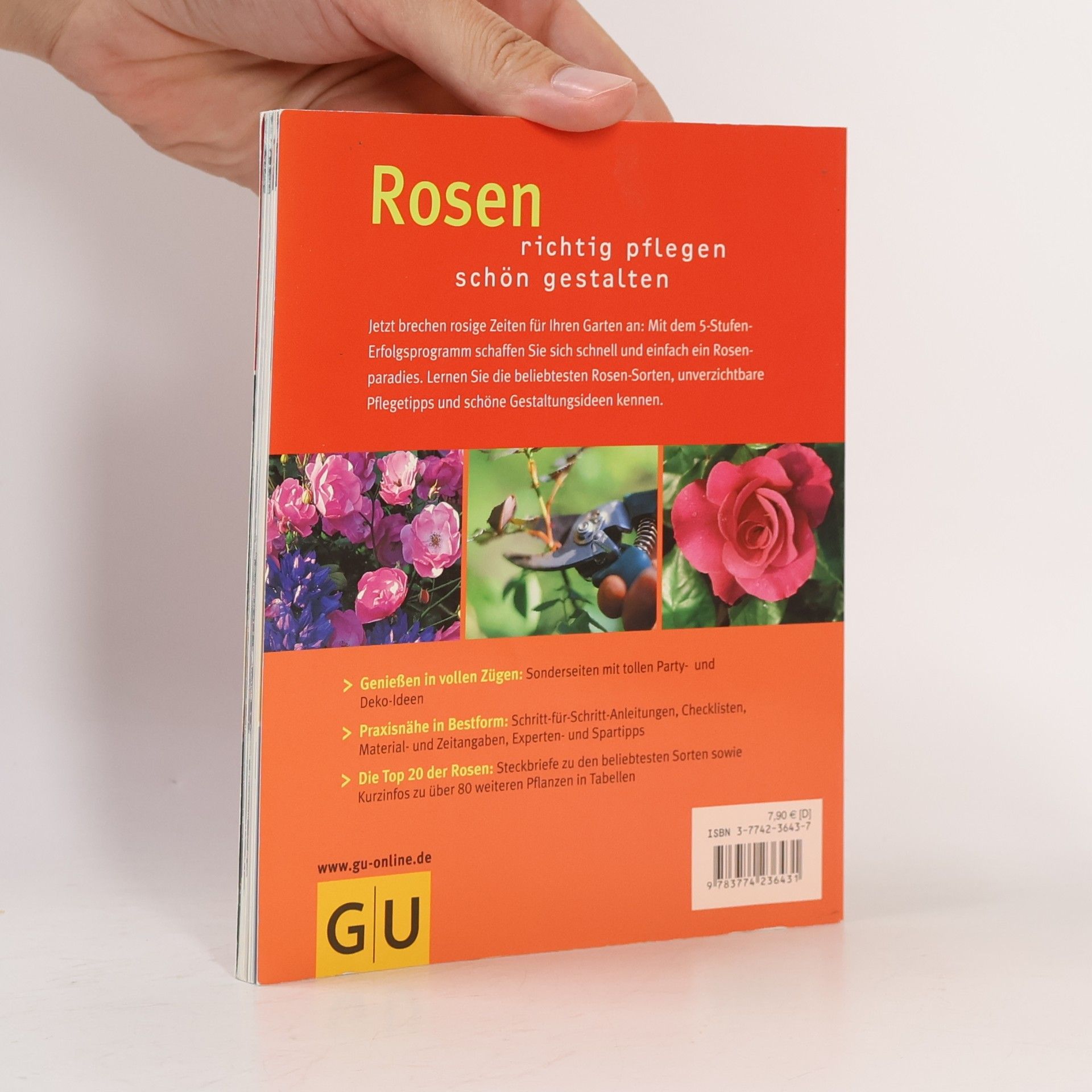 Heide Rau Rosen